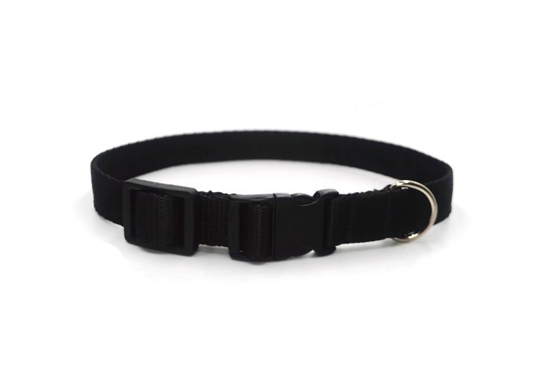 Obroża taśma 20mm/26-44cm