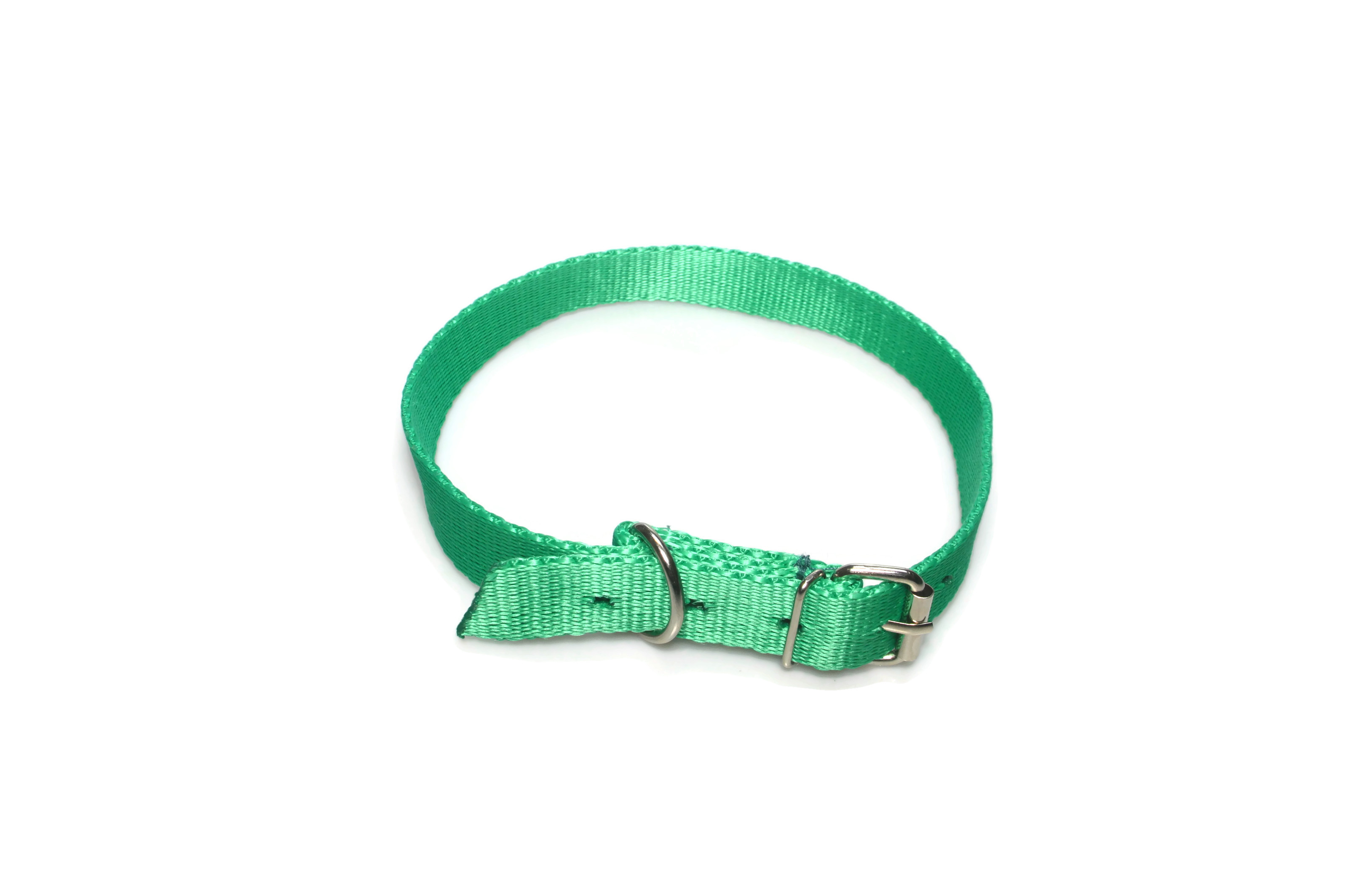 Obroża taśma 20mm 43-51cm