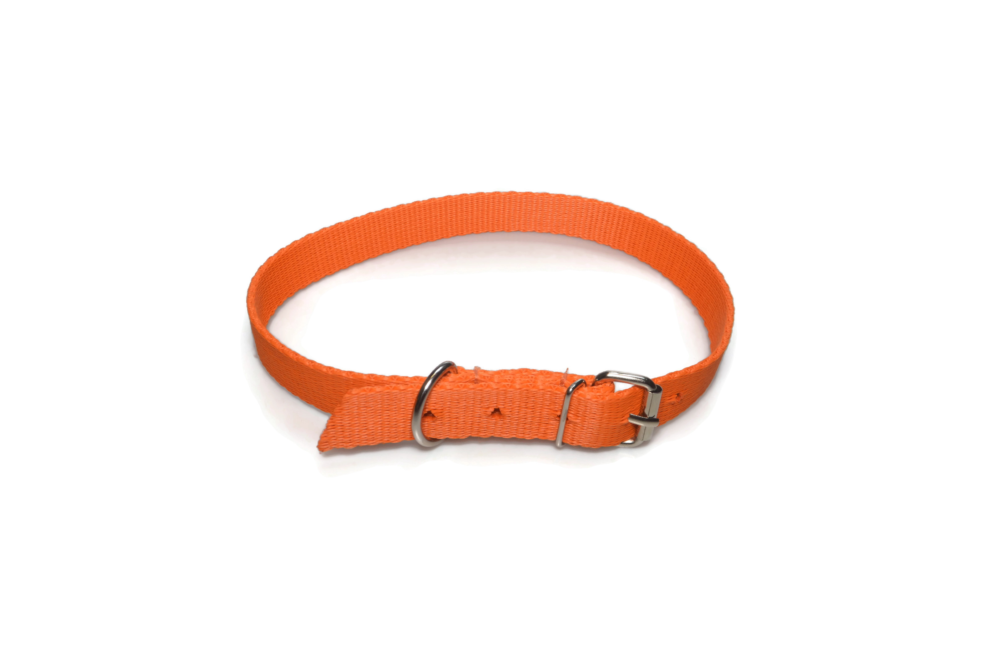 Obroża taśma 20mm 43-51cm