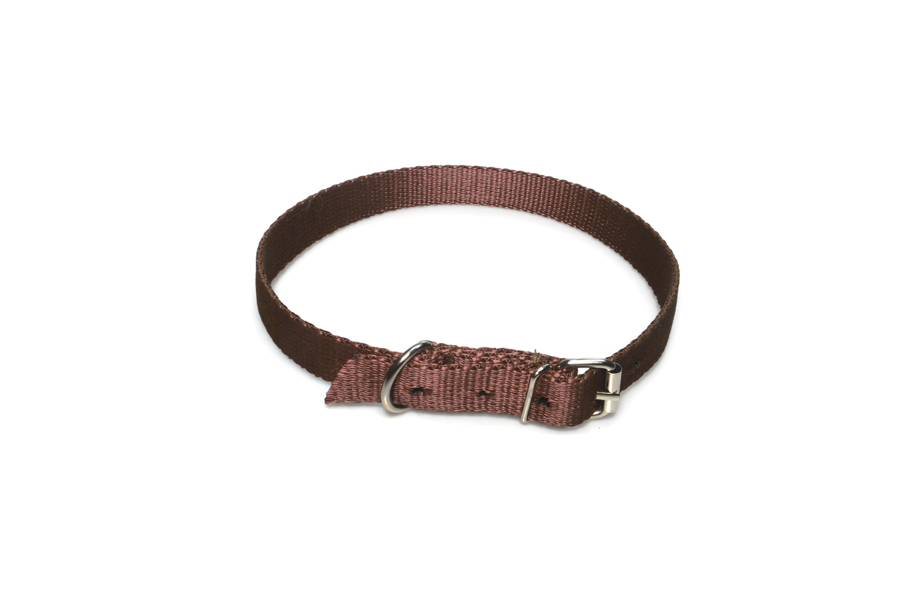 Obroża taśma 20mm 43-51cm