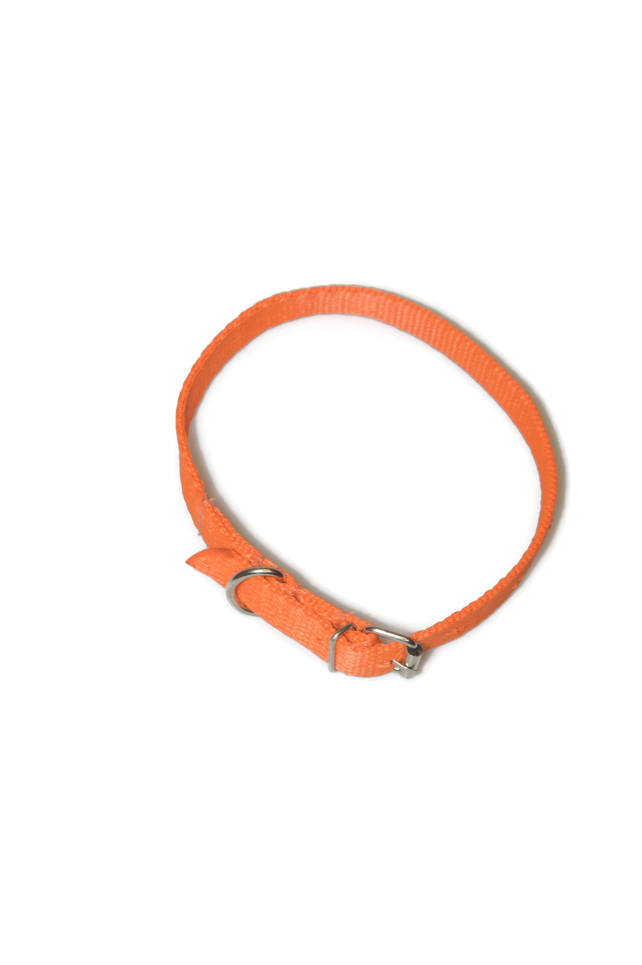Obroża taśma 16mm/30-41cm