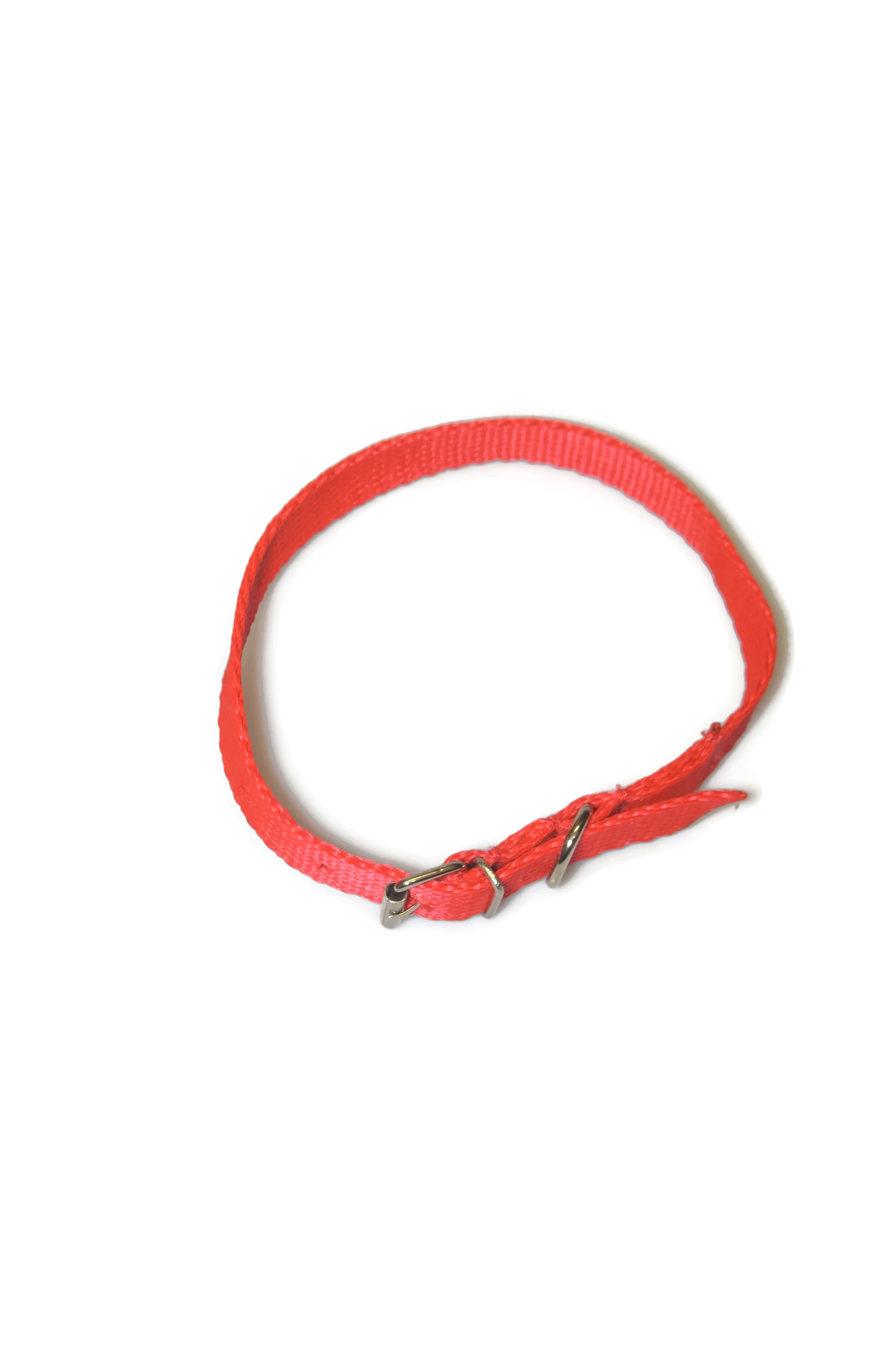 Obroża taśma 16mm/30-41cm