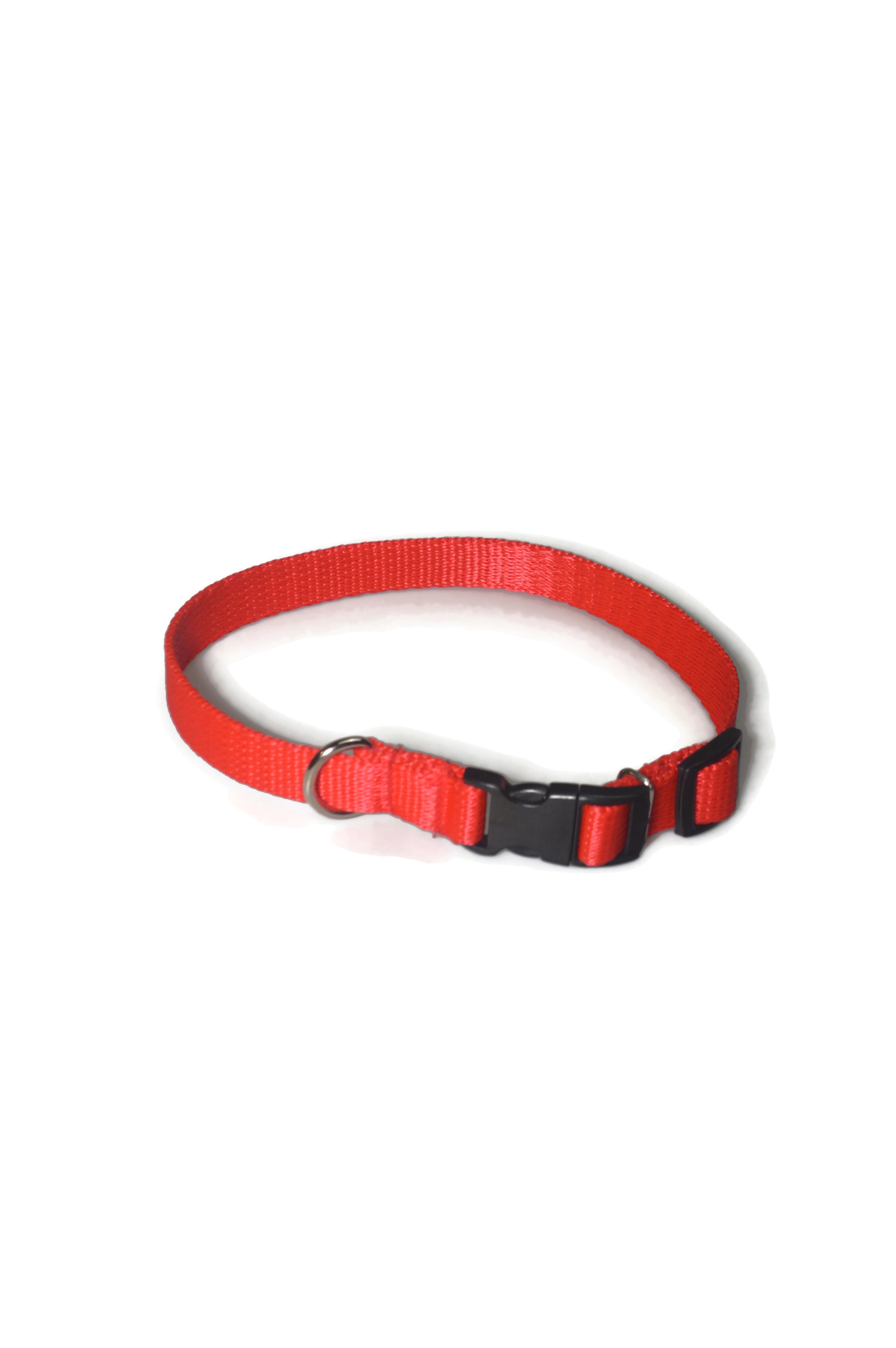 Obroża taśma 16mm/24-42cm