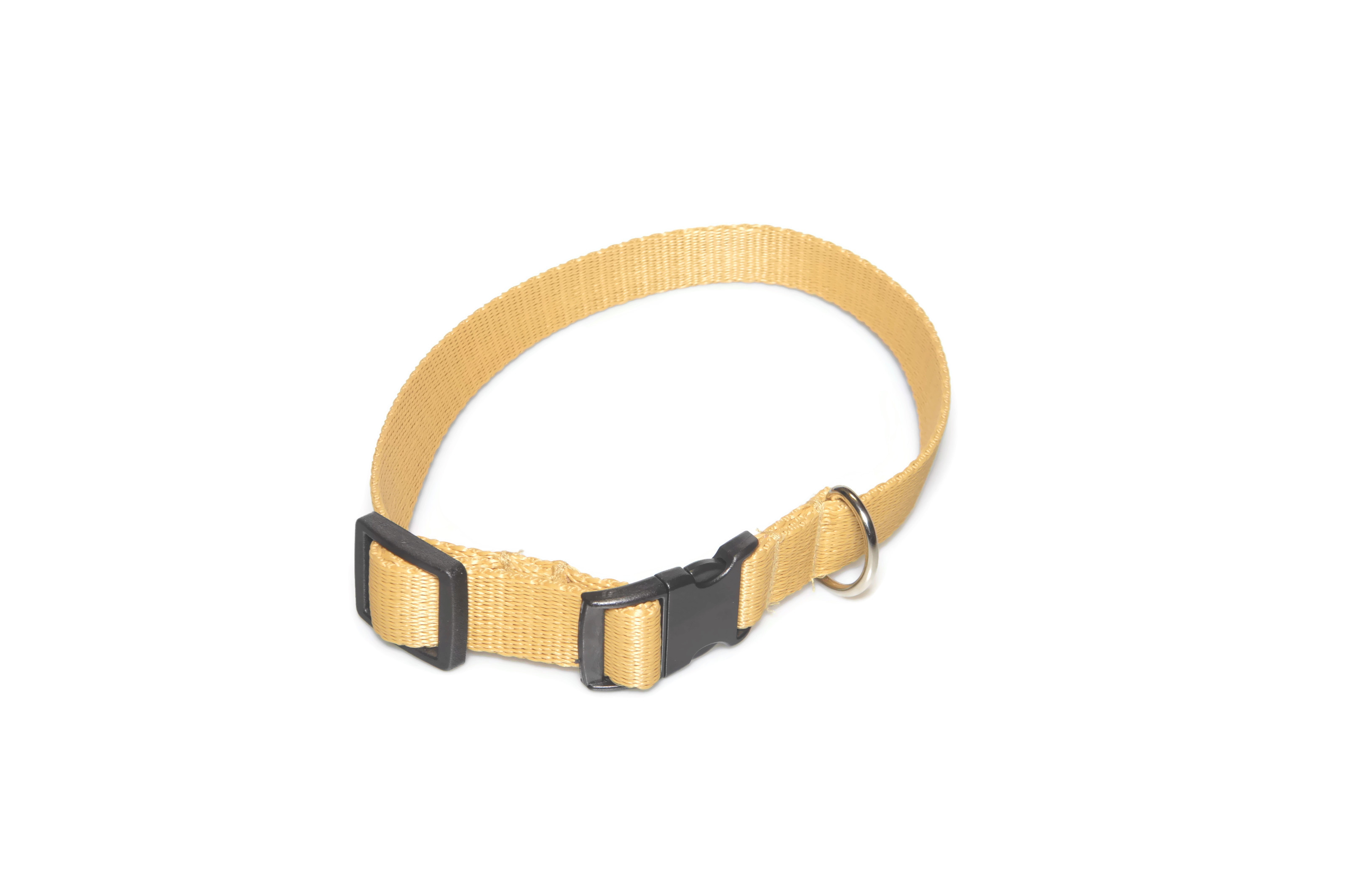 Obroża taśma 20mm/26-44cm