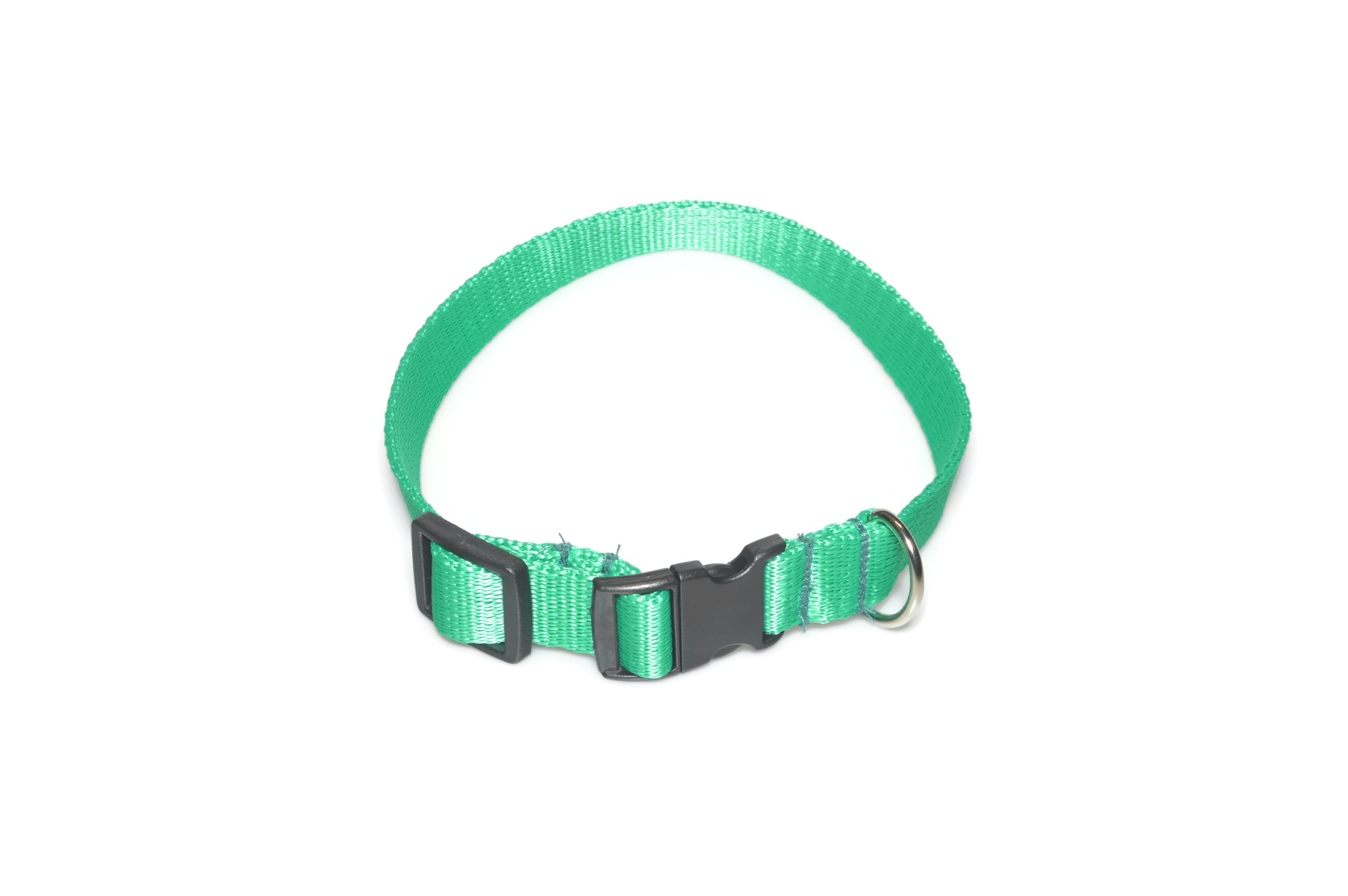 Obroża taśma 20mm/26-44cm