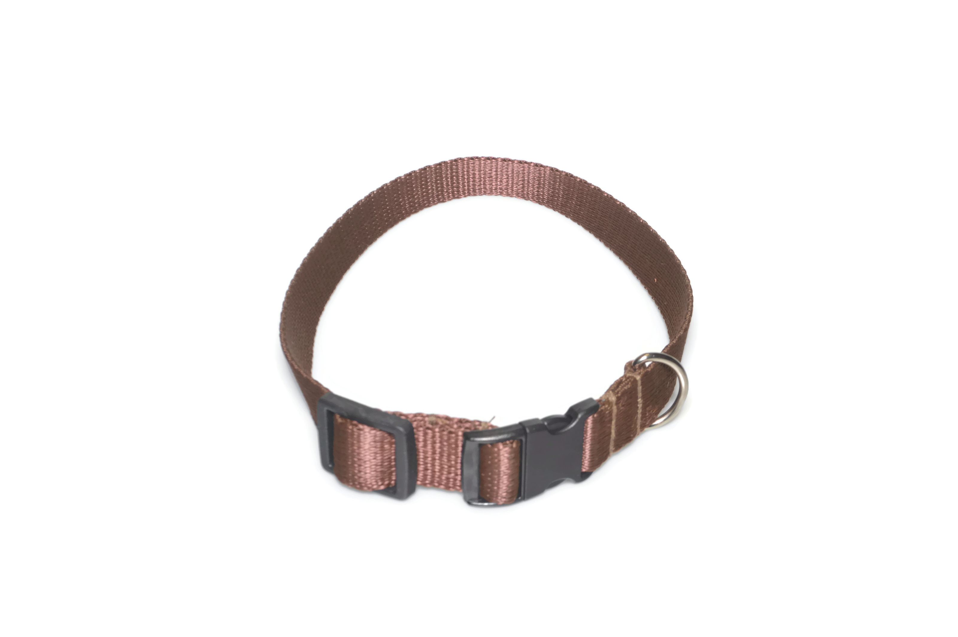 Obroża taśma 20mm/26-44cm