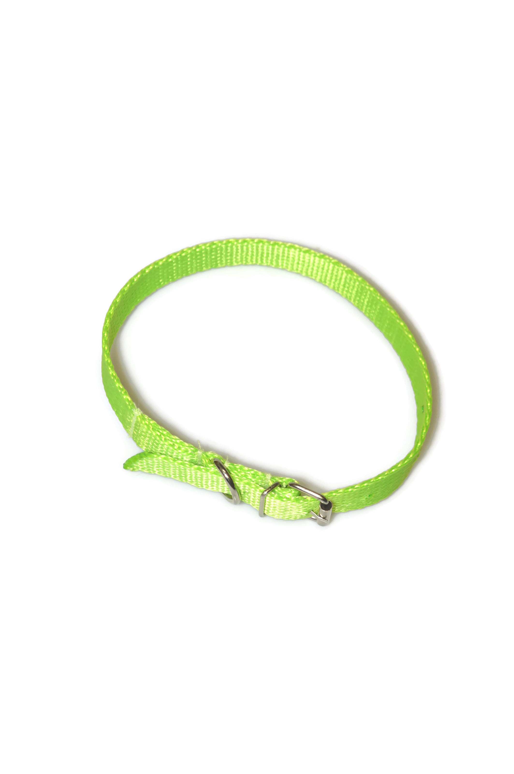 Obroża taśma 16mm/30-41cm