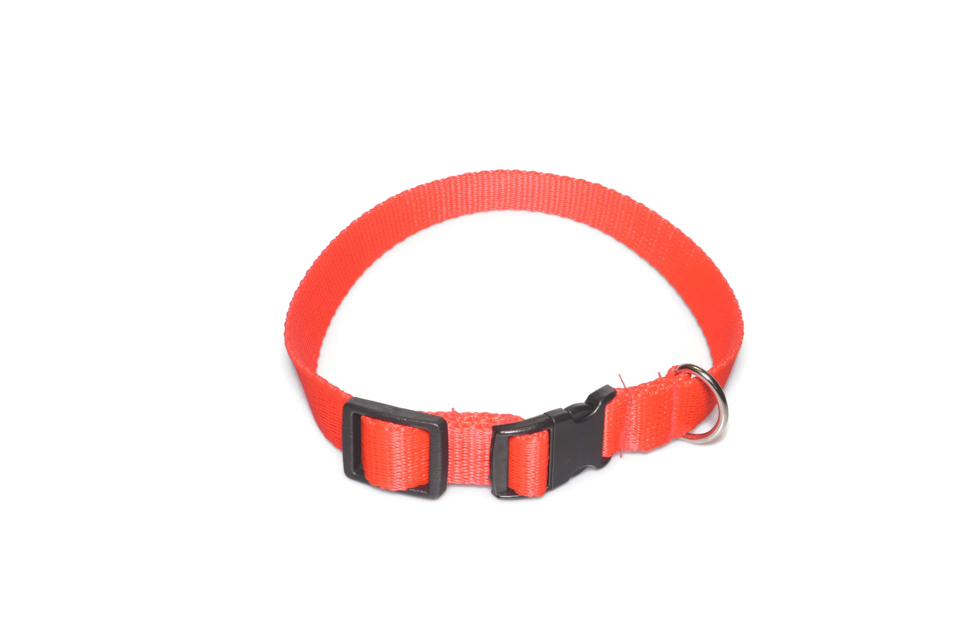 Obroża taśma 20mm/26-44cm