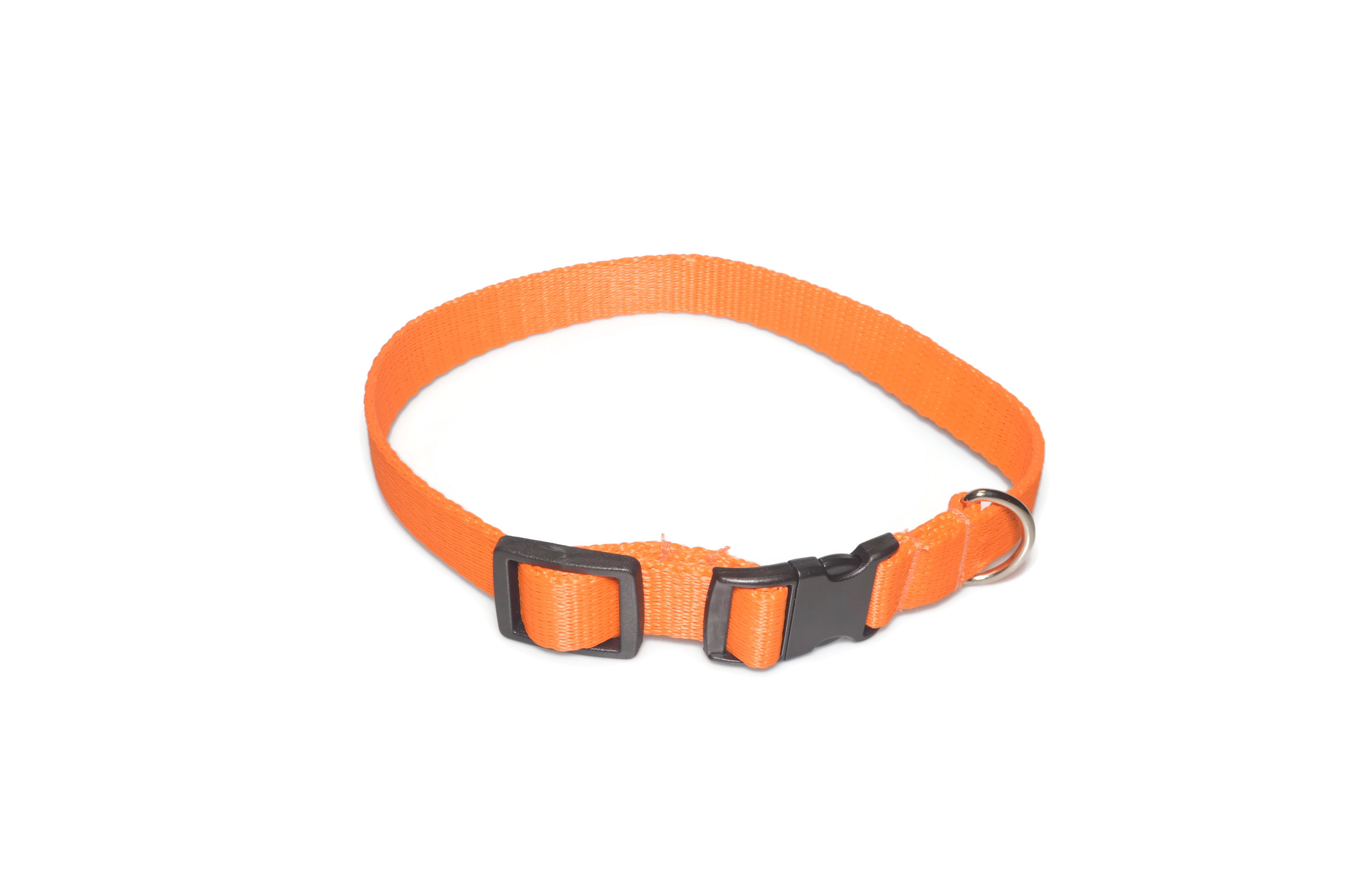 Obroża taśma 20mm/26-44cm