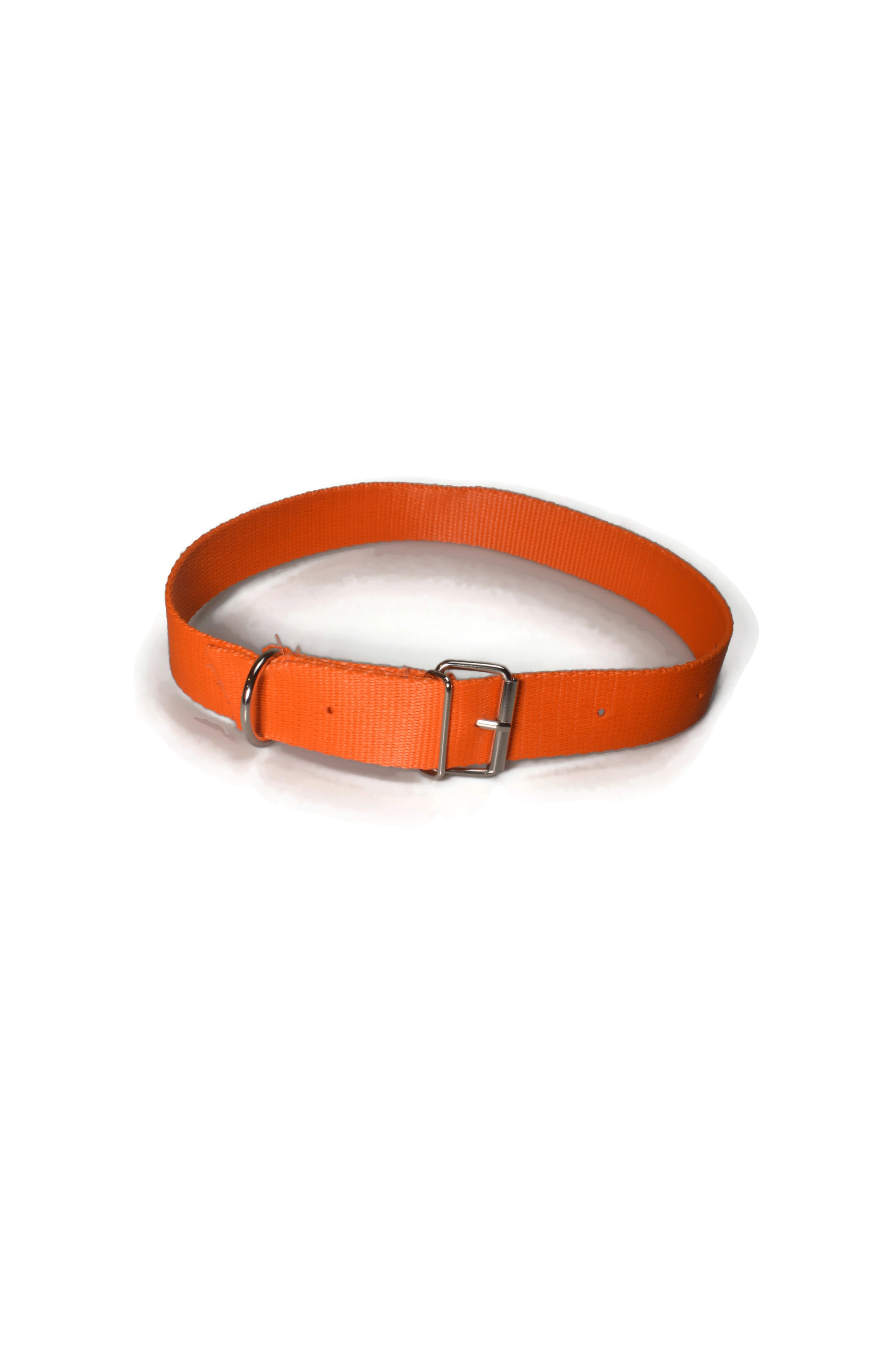 Obroża taśma 30mm 48-67cm