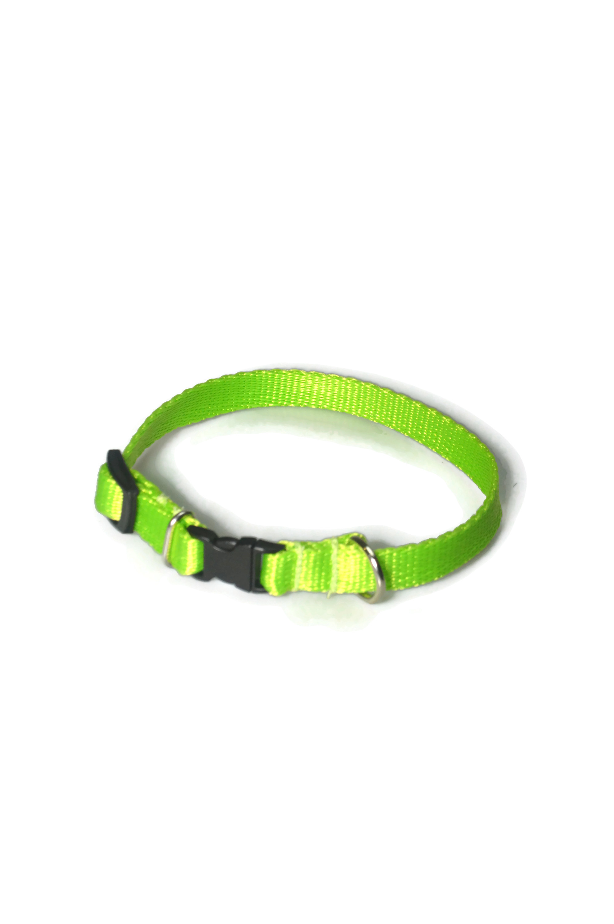 Obroża taśma 13mm/21-36cm