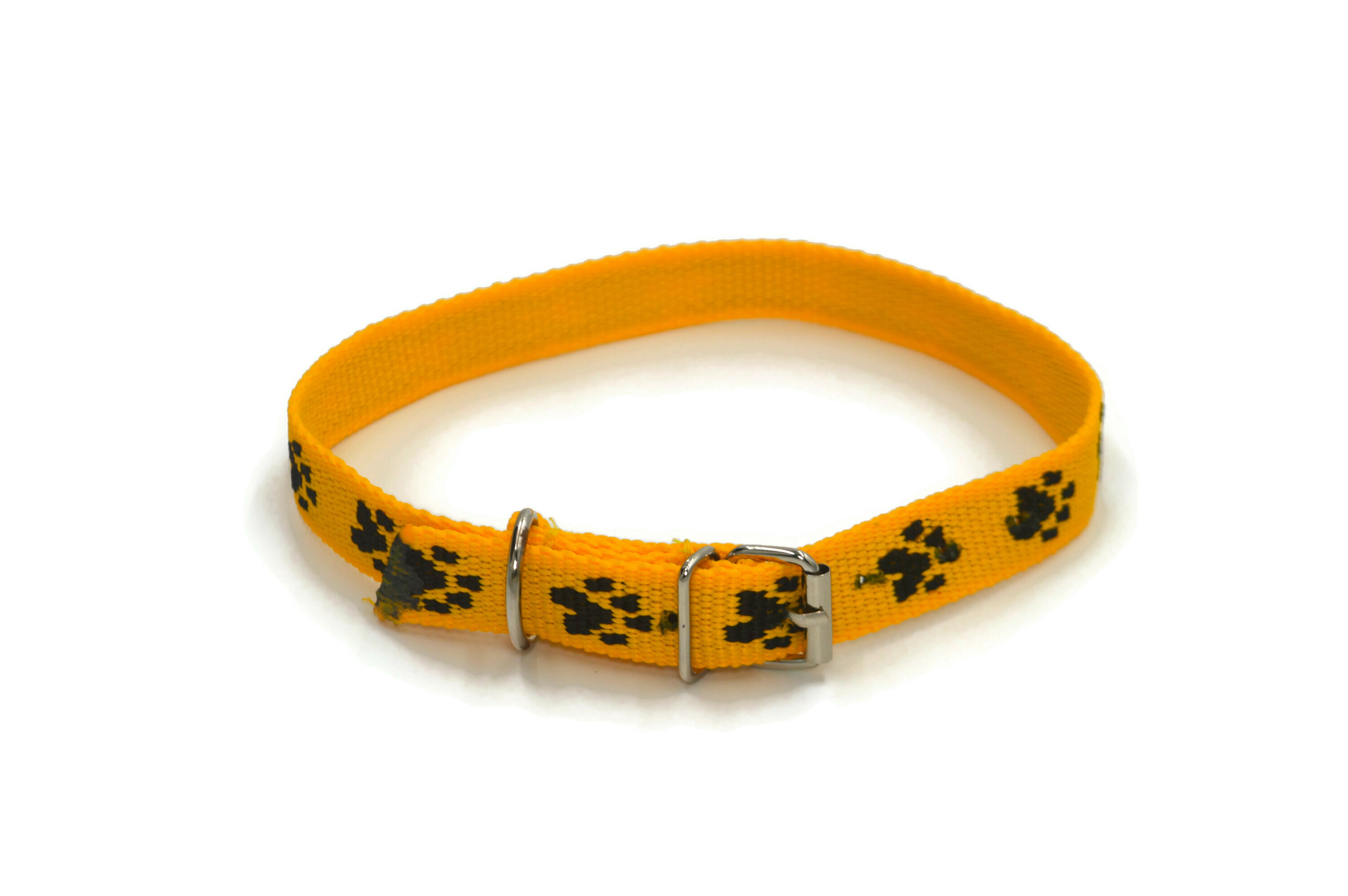 Obroża dla psa łapki metał 20mm/43-51cm