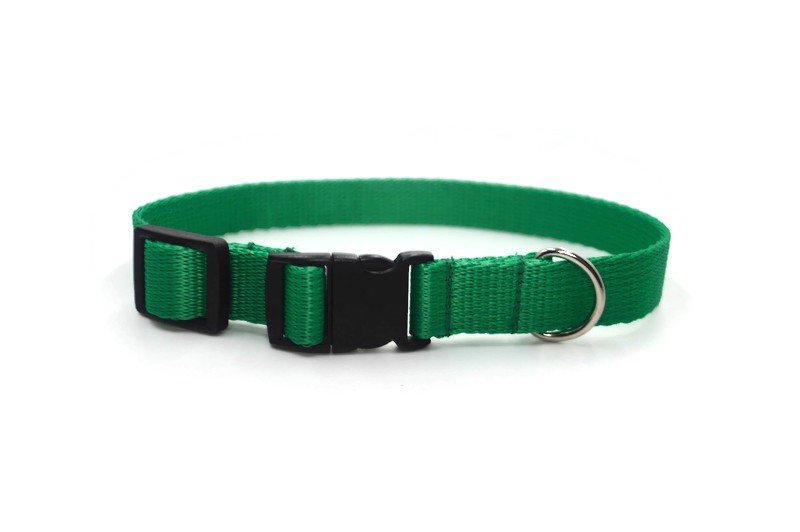 Obroża taśma 20mm/26-44cm