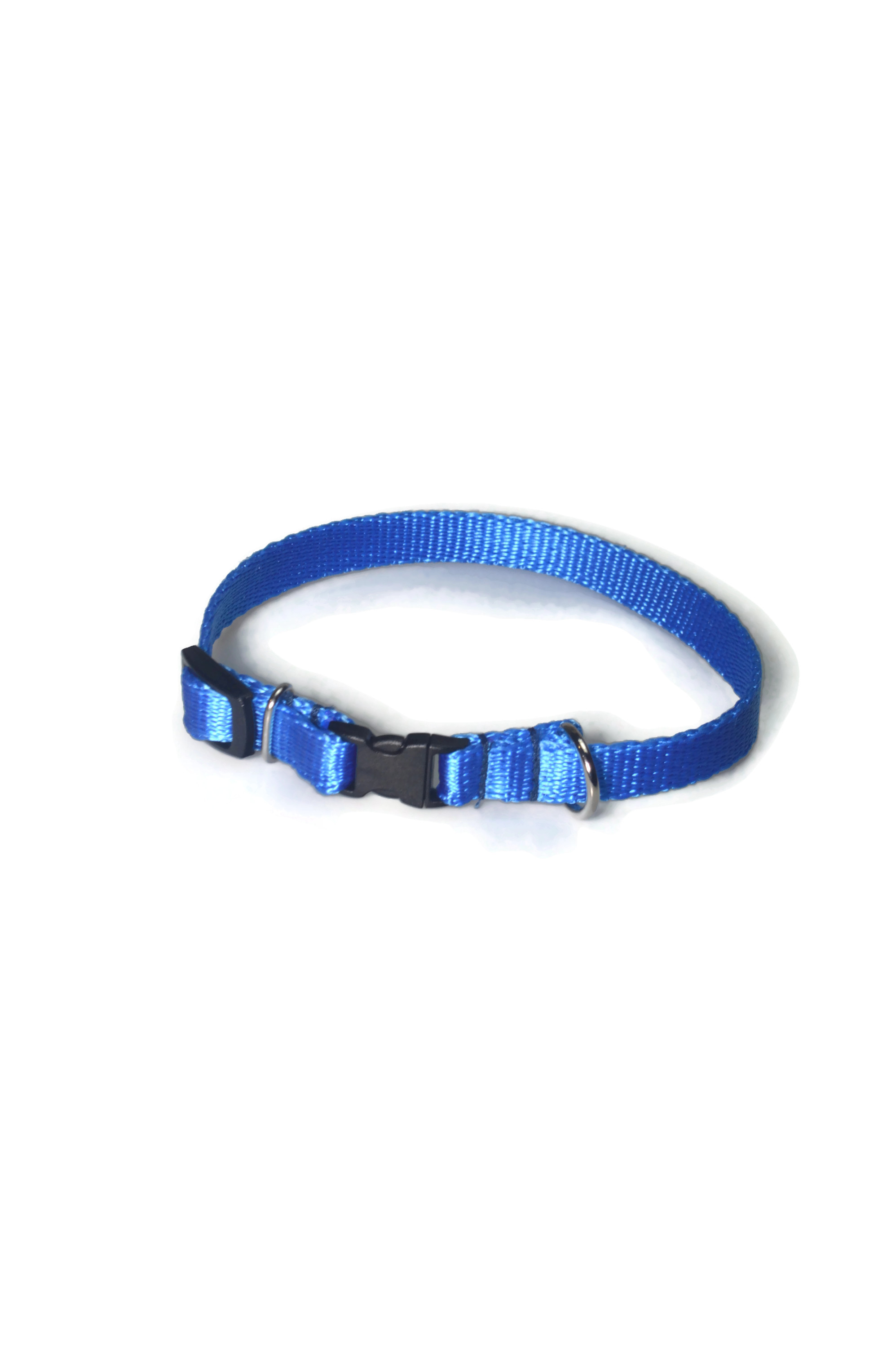 Obroża taśma 13mm/21-36cm