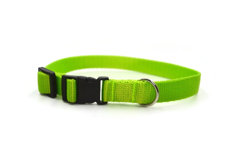 Obroża taśma 20mm/26-44cm