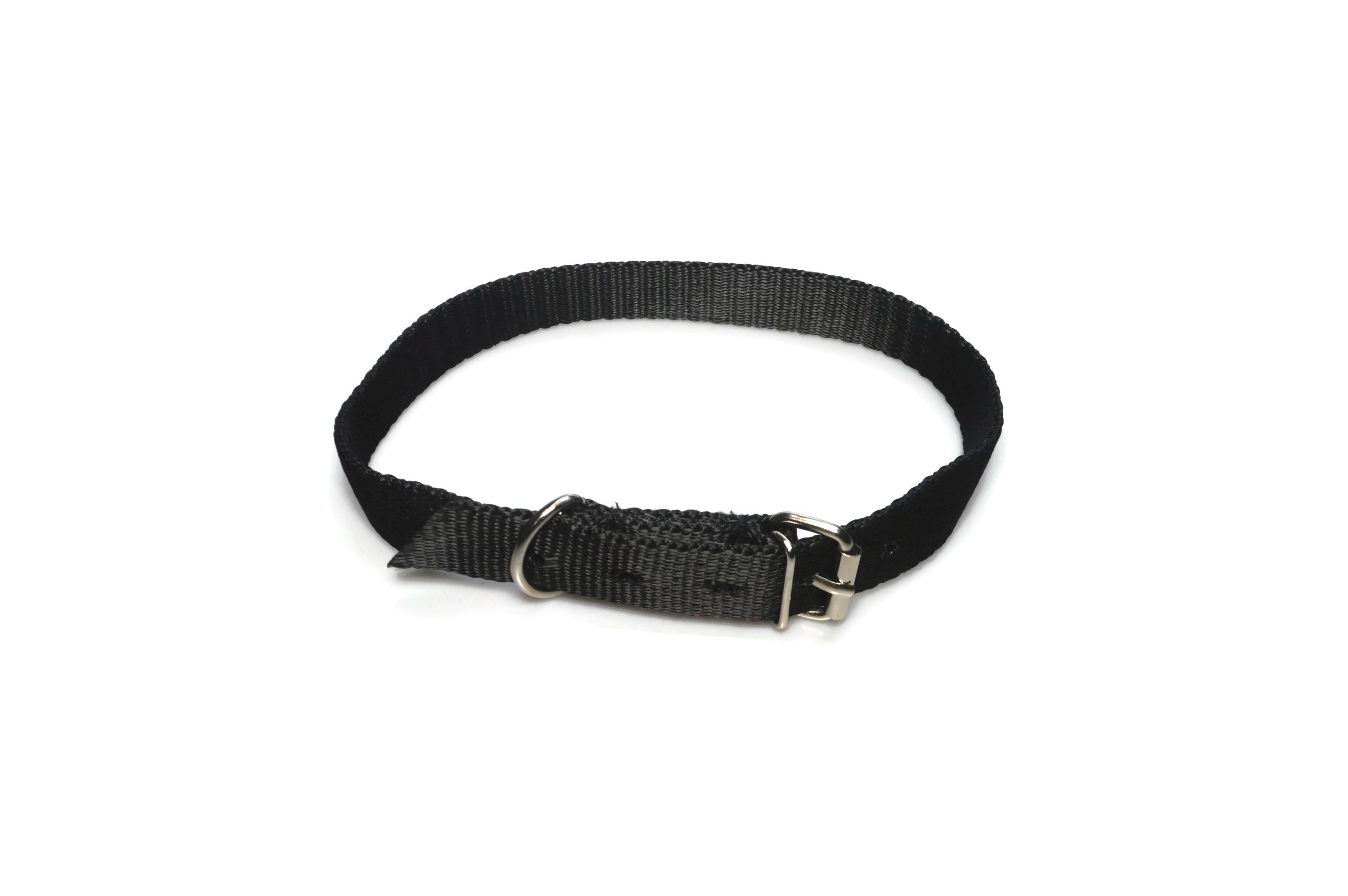 Obroża taśma 20mm 43-51cm