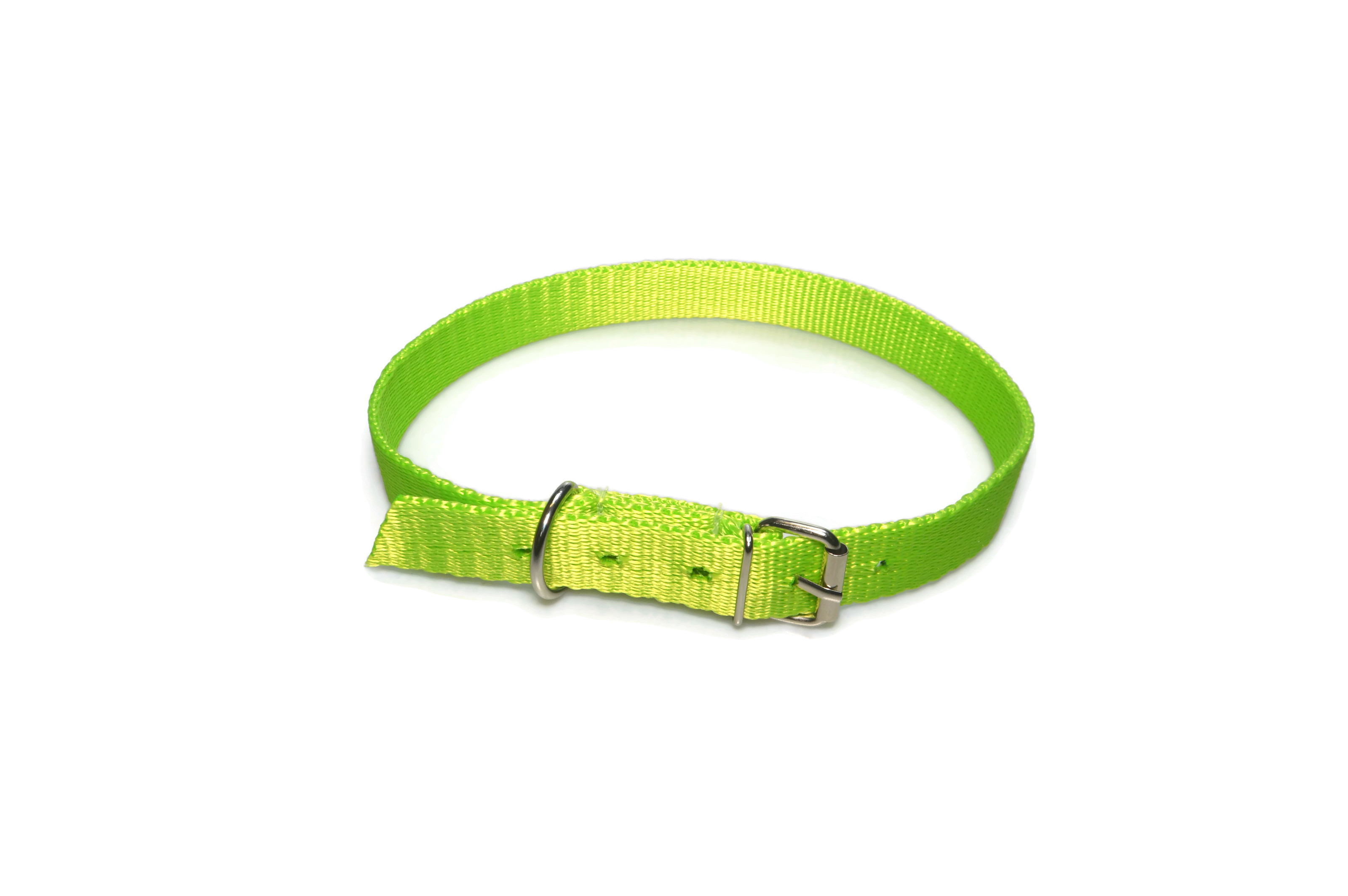 Obroża taśma 25mm 44-59cm