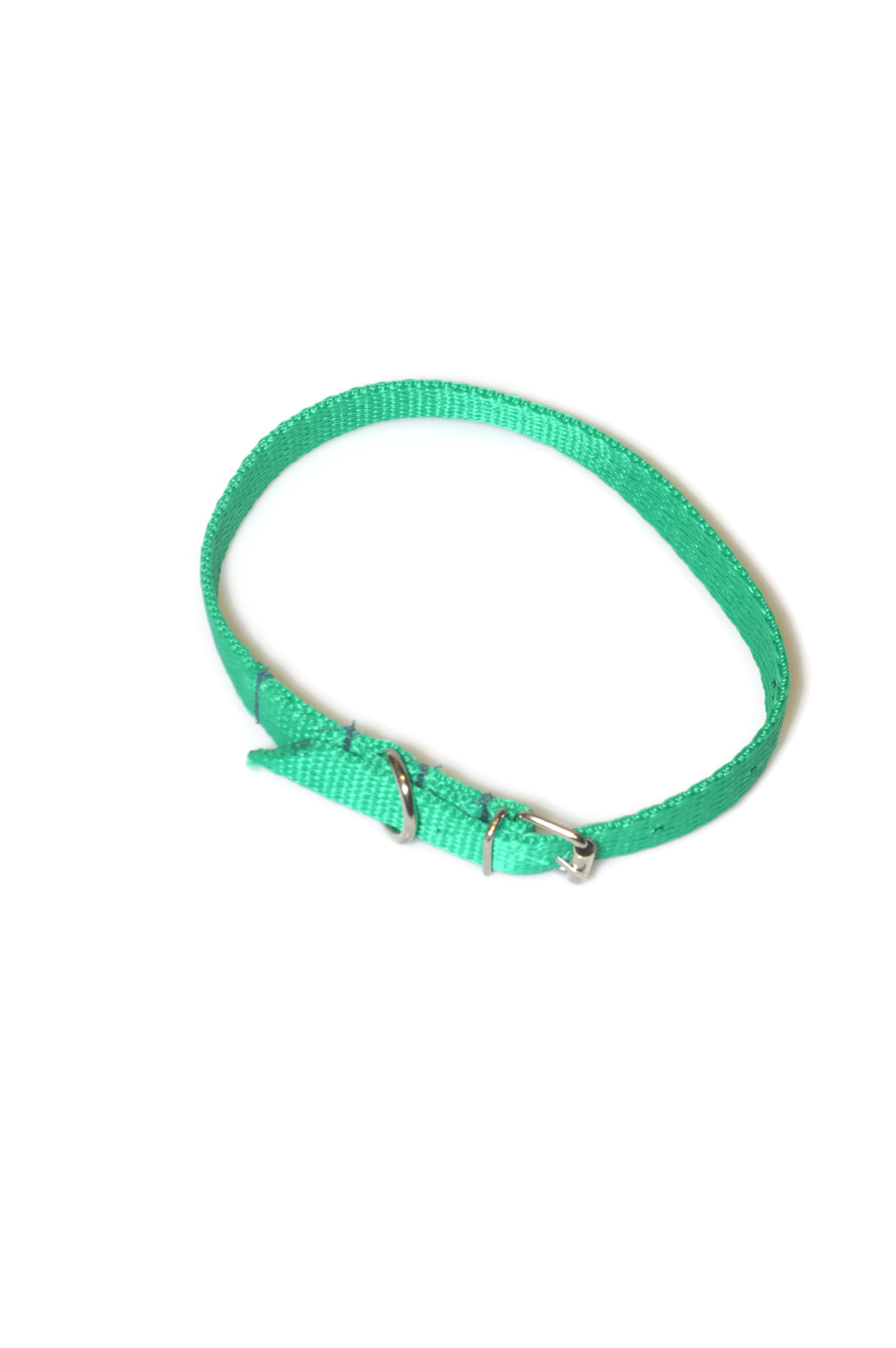 Obroża taśma 16mm/30-41cm