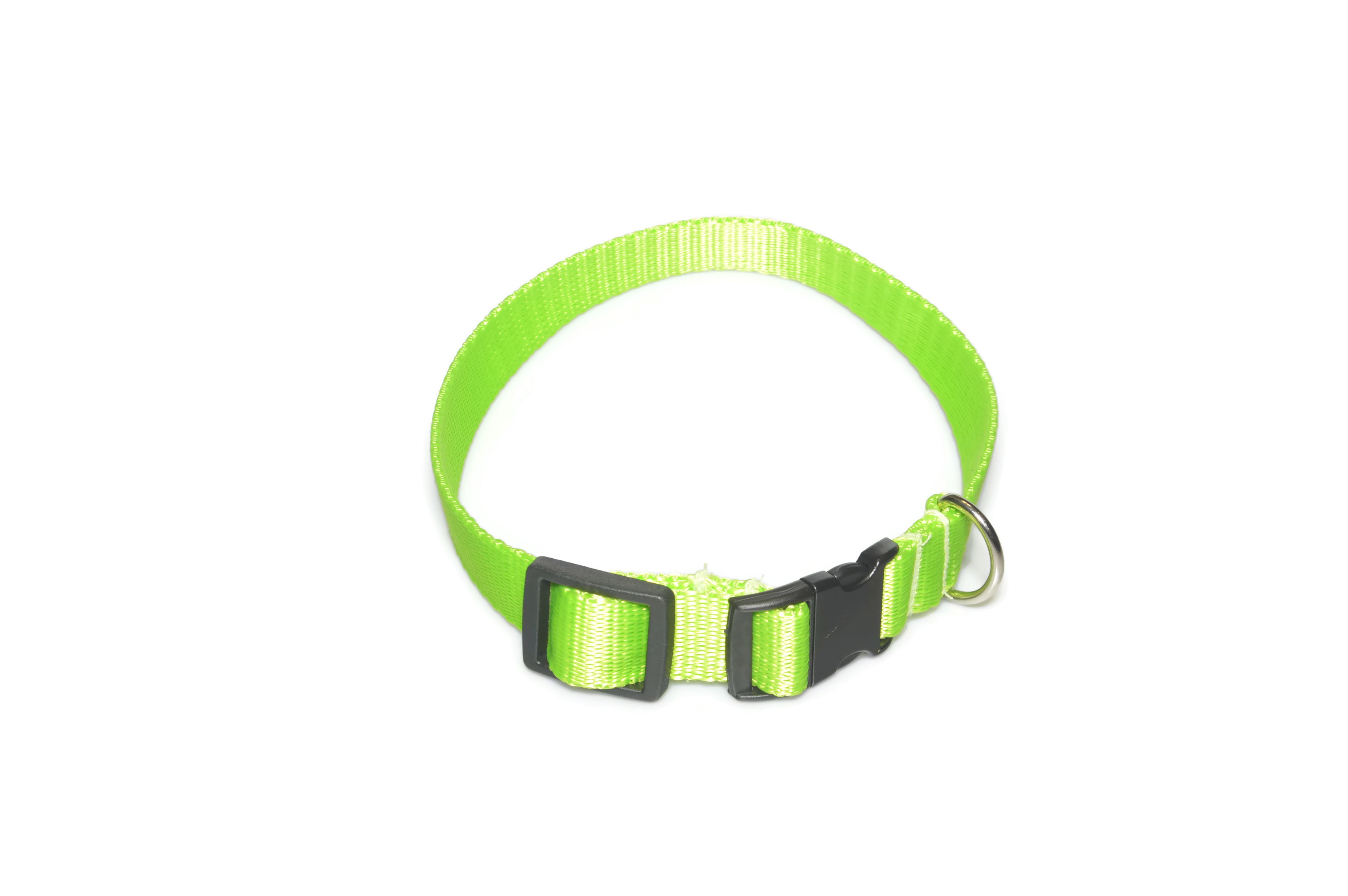 Obroża taśma 20mm/26-44cm