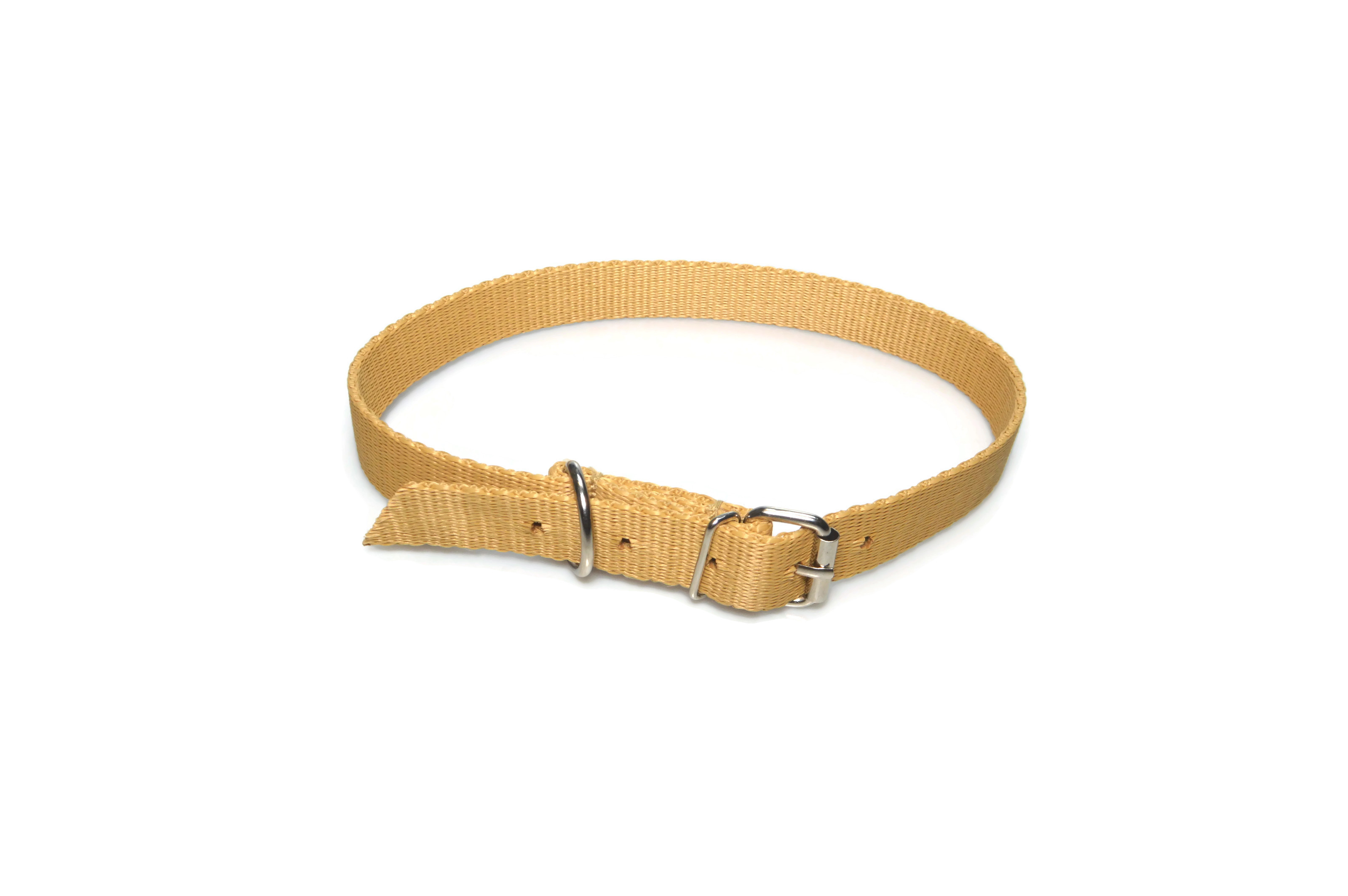 Obroża taśma 30mm 48-67cm