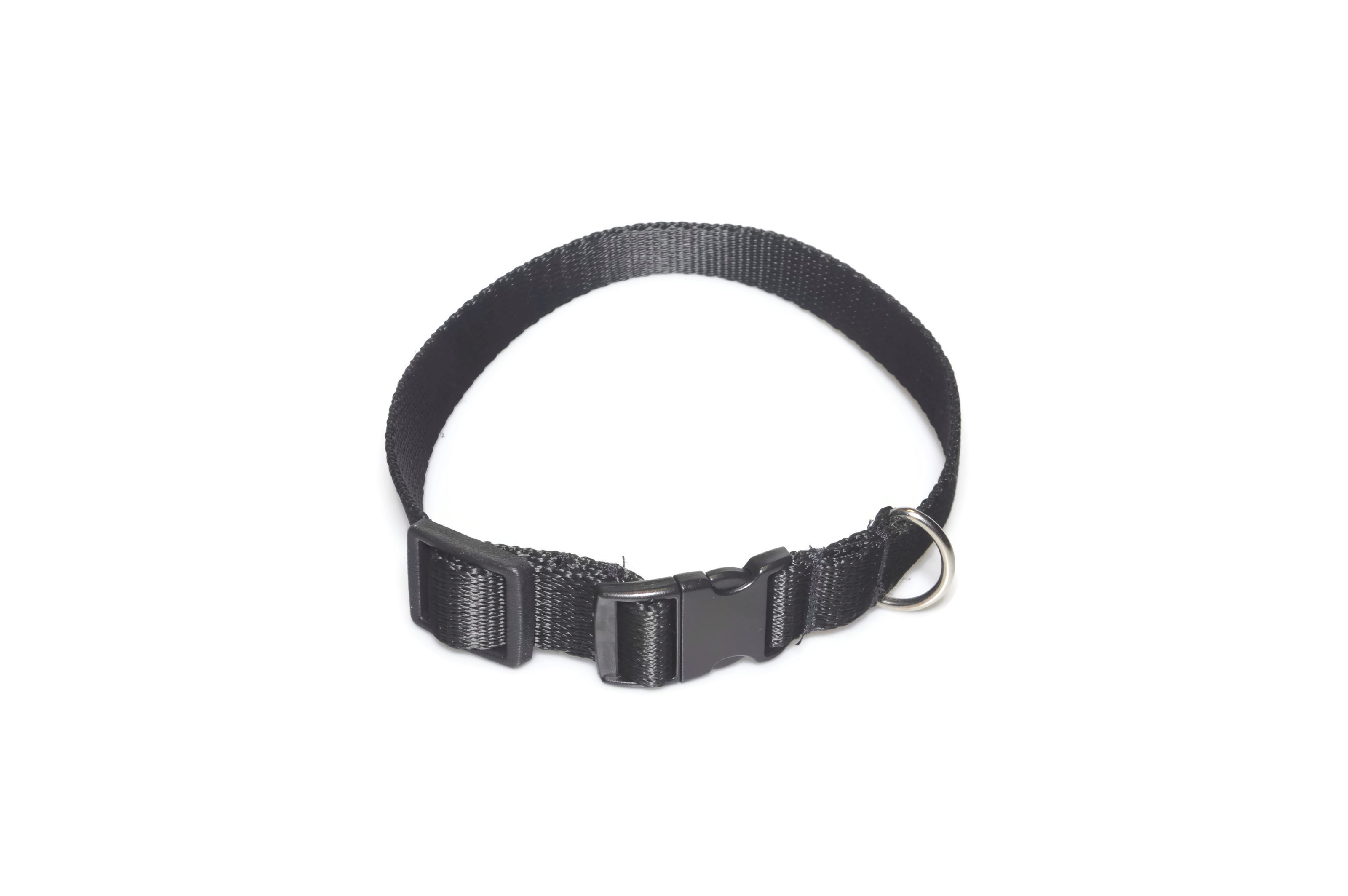 Obroża taśma 20mm/26-44cm