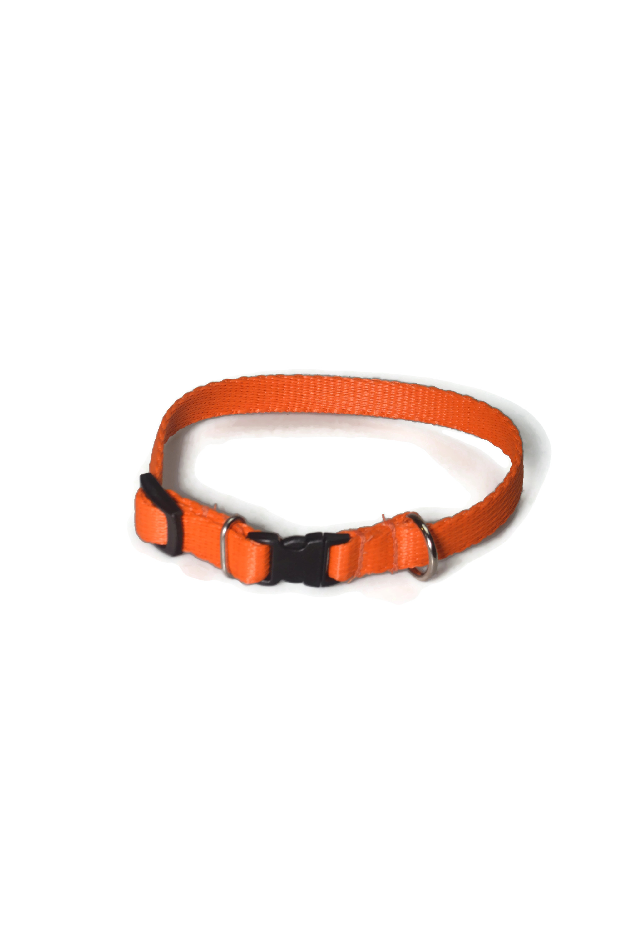 Obroża taśma 13mm/21-36cm