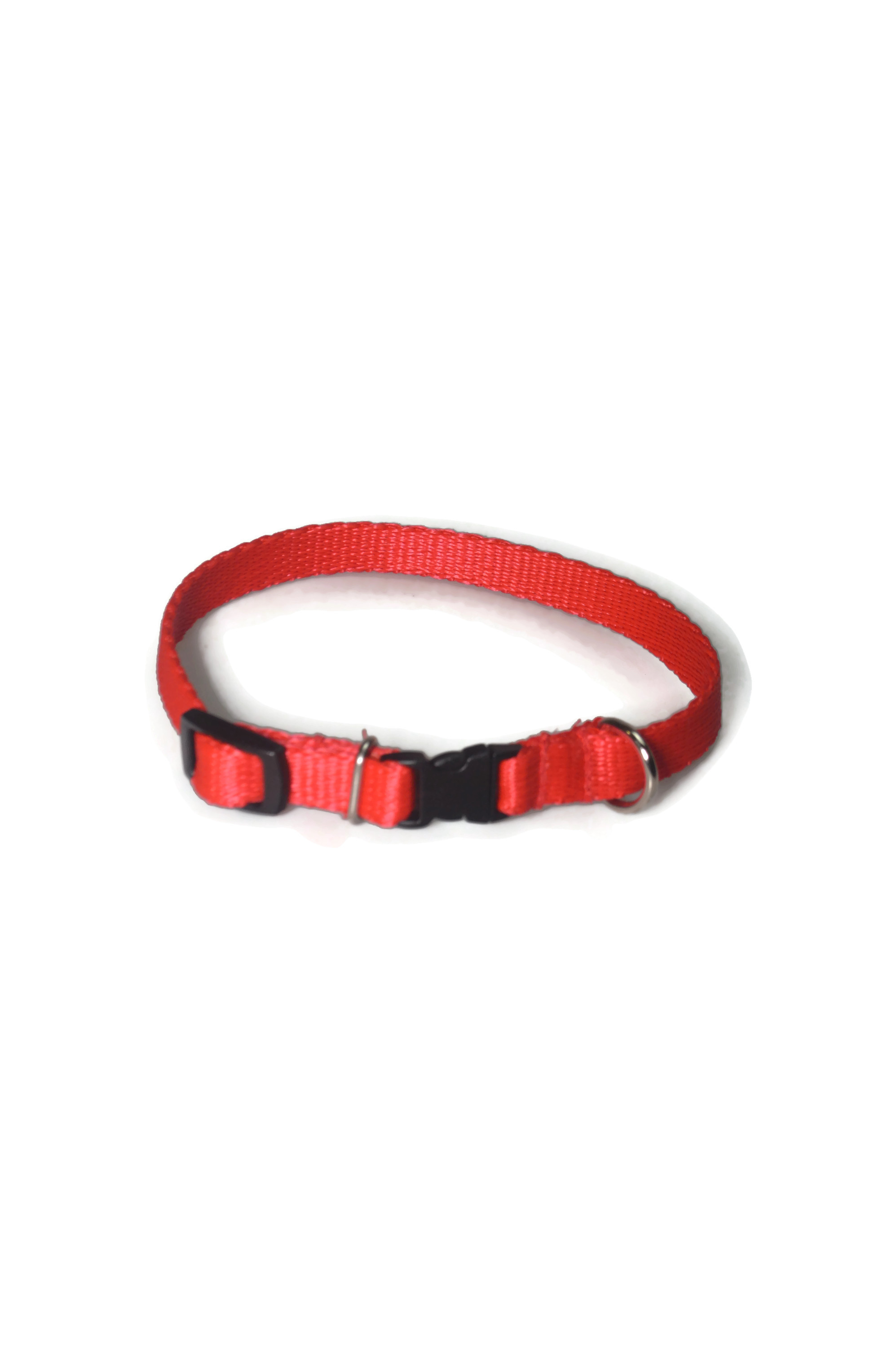 Obroża taśma 13mm/21-36cm