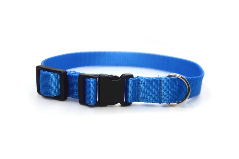Obroża taśma 20mm/26-44cm