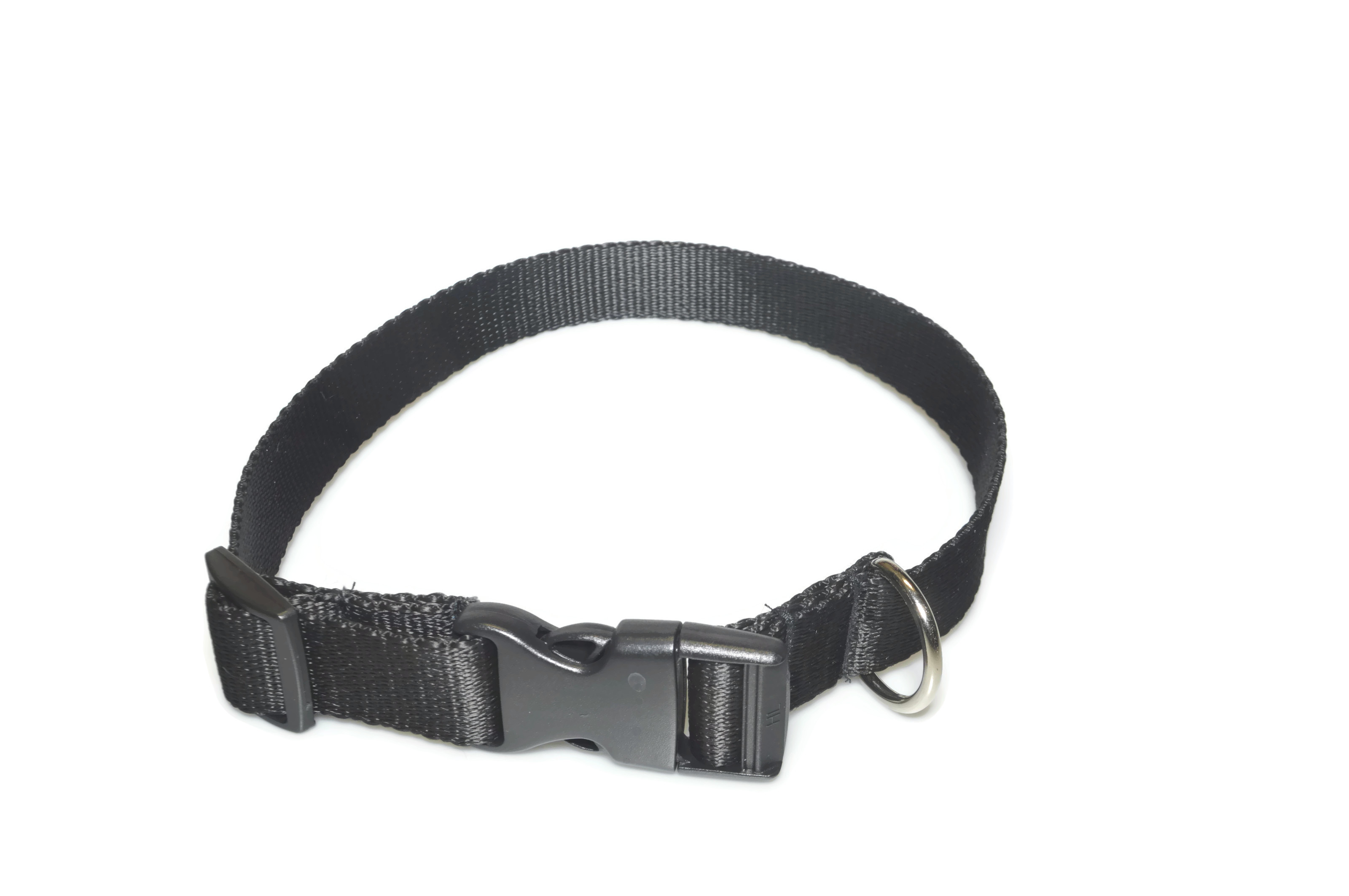 Obroża taśma 25mm/34-55cm