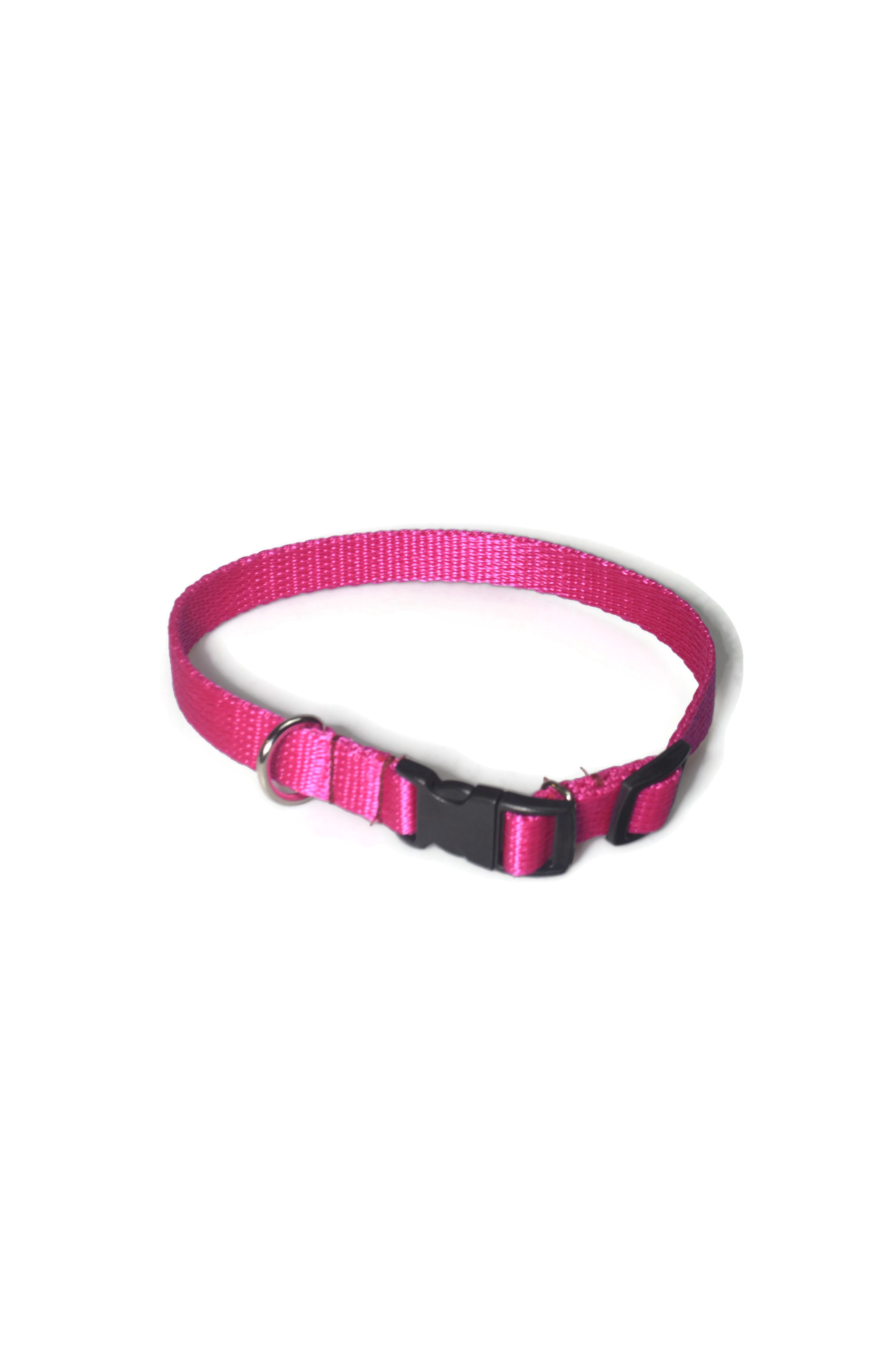 Obroża taśma 16mm/24-42cm