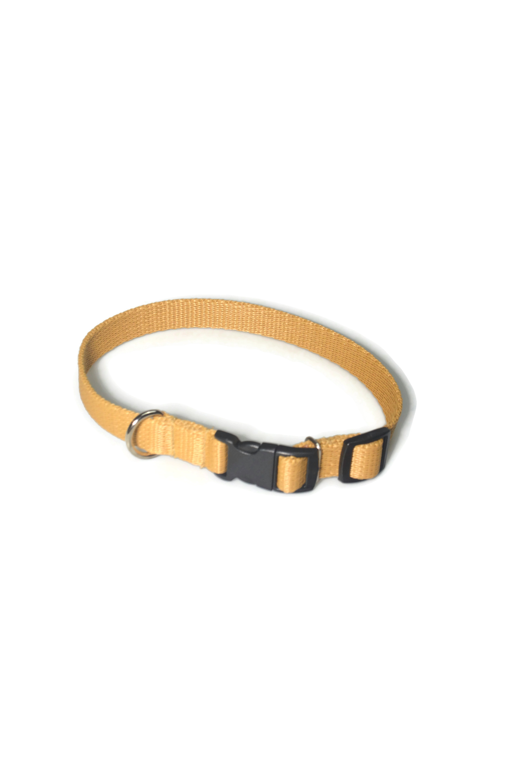 Obroża taśma 16mm/24-42cm