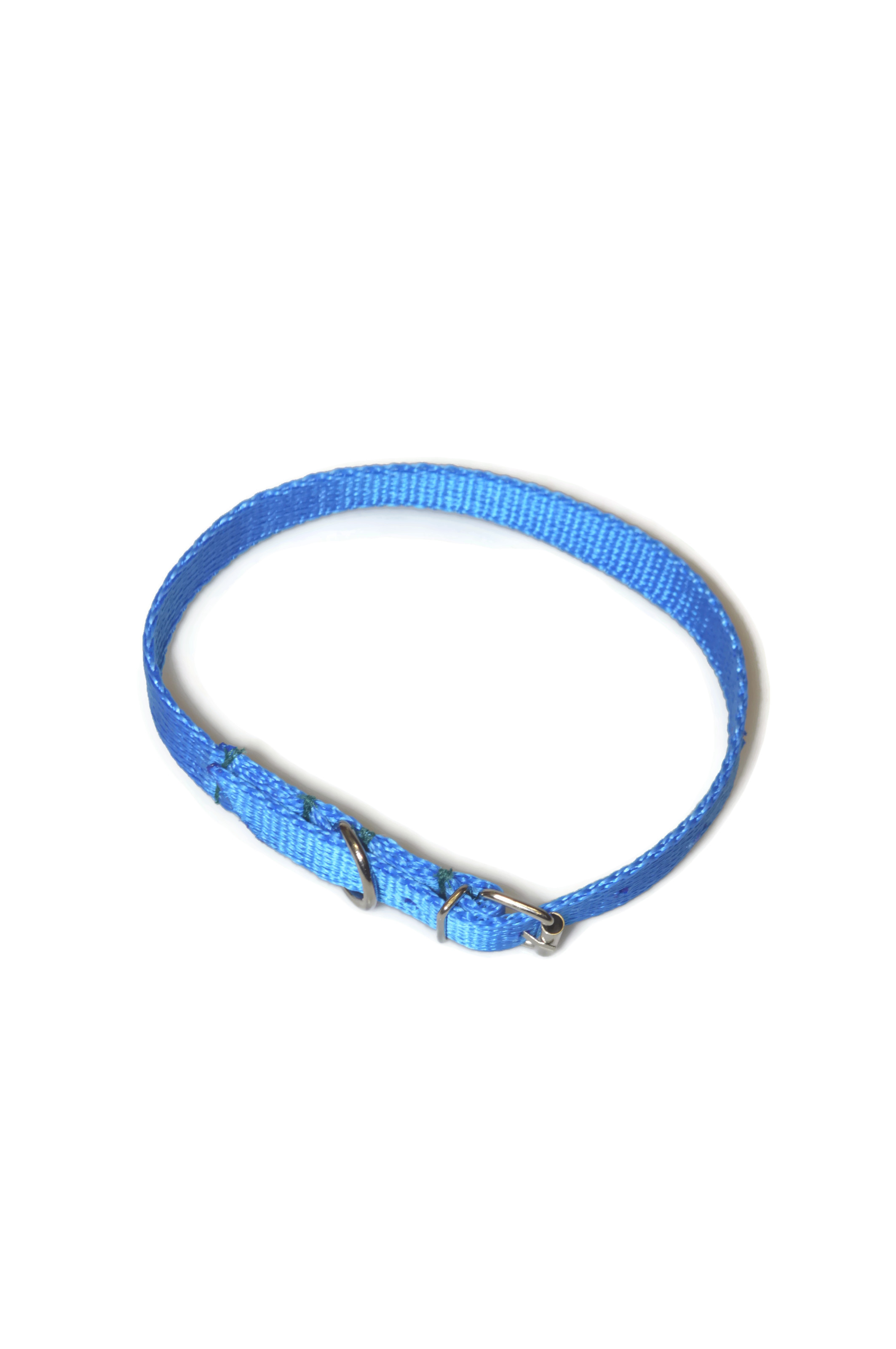 Obroża taśma 16mm/30-41cm