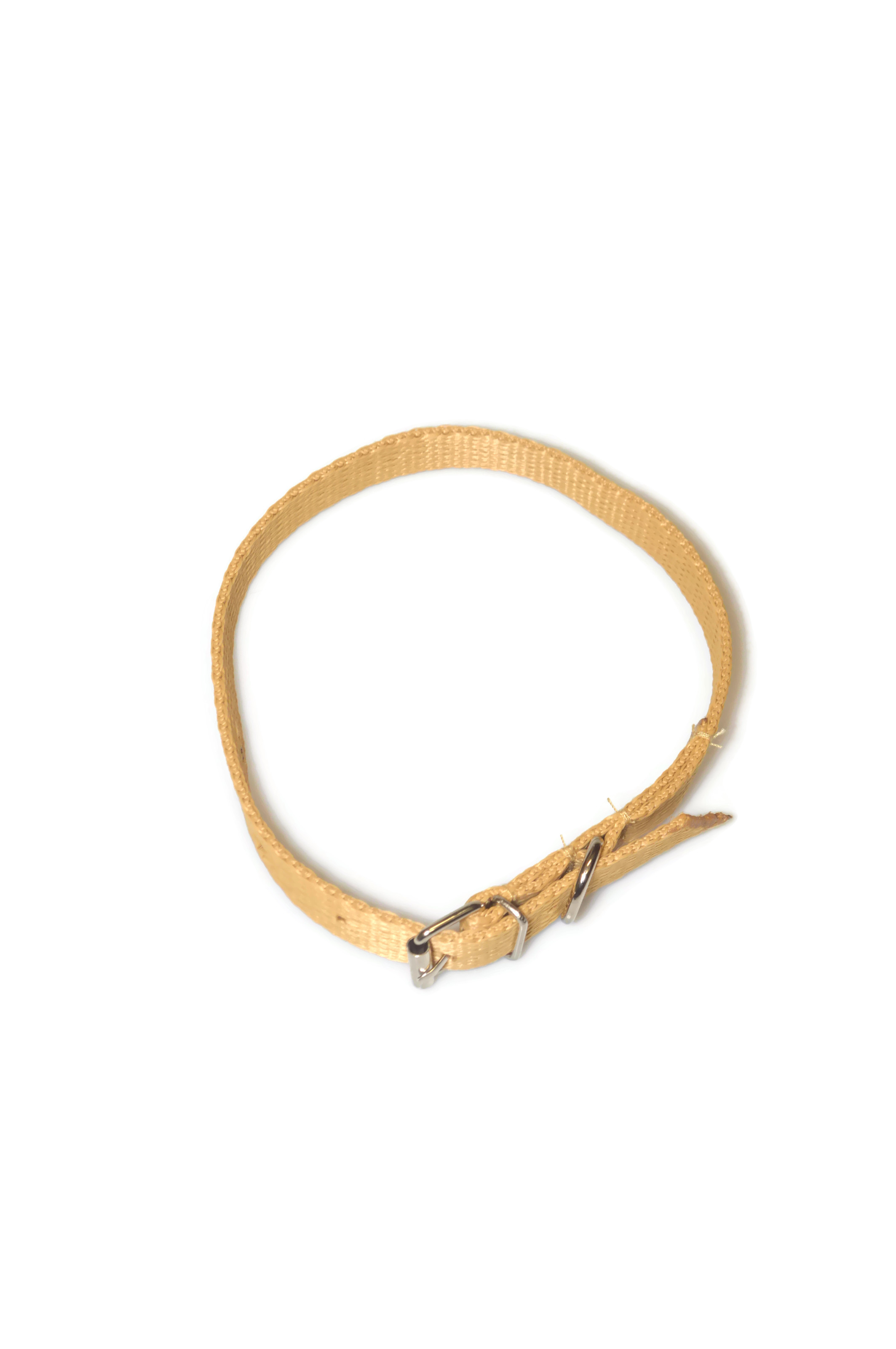 Obroża taśma 16mm/30-41cm