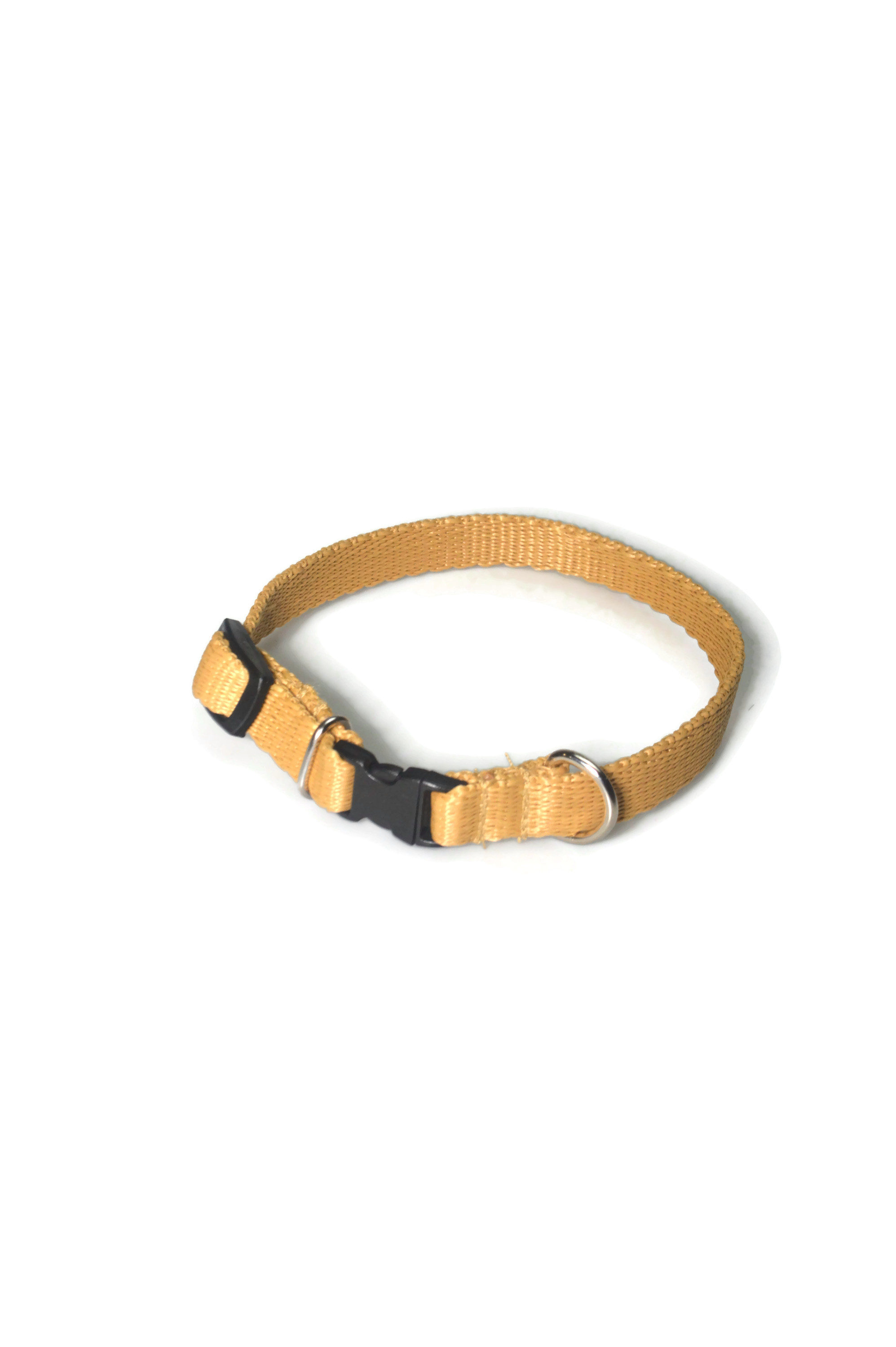Obroża taśma 13mm/21-36cm