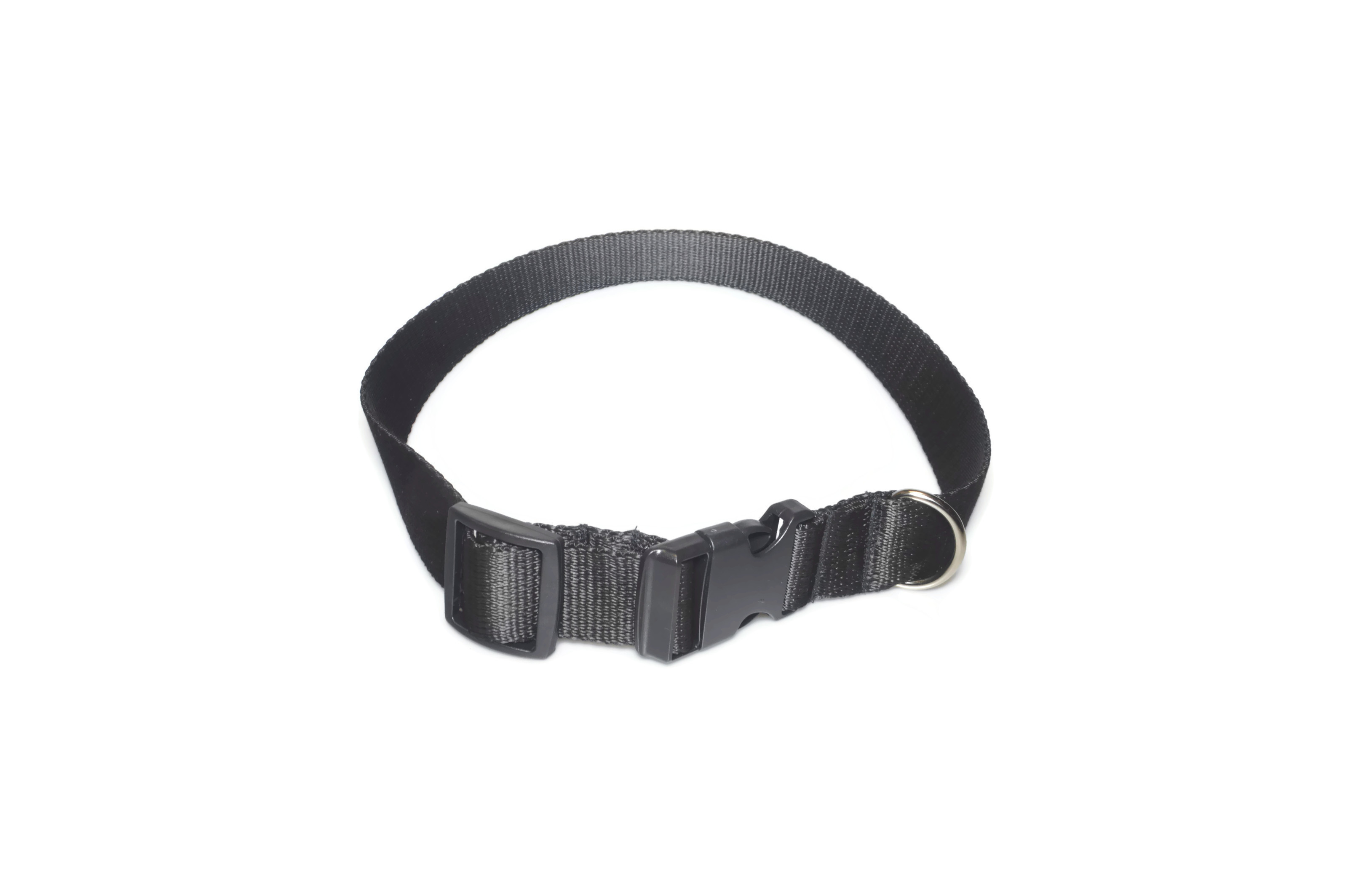 Obroża taśma 30mm/38-65cm