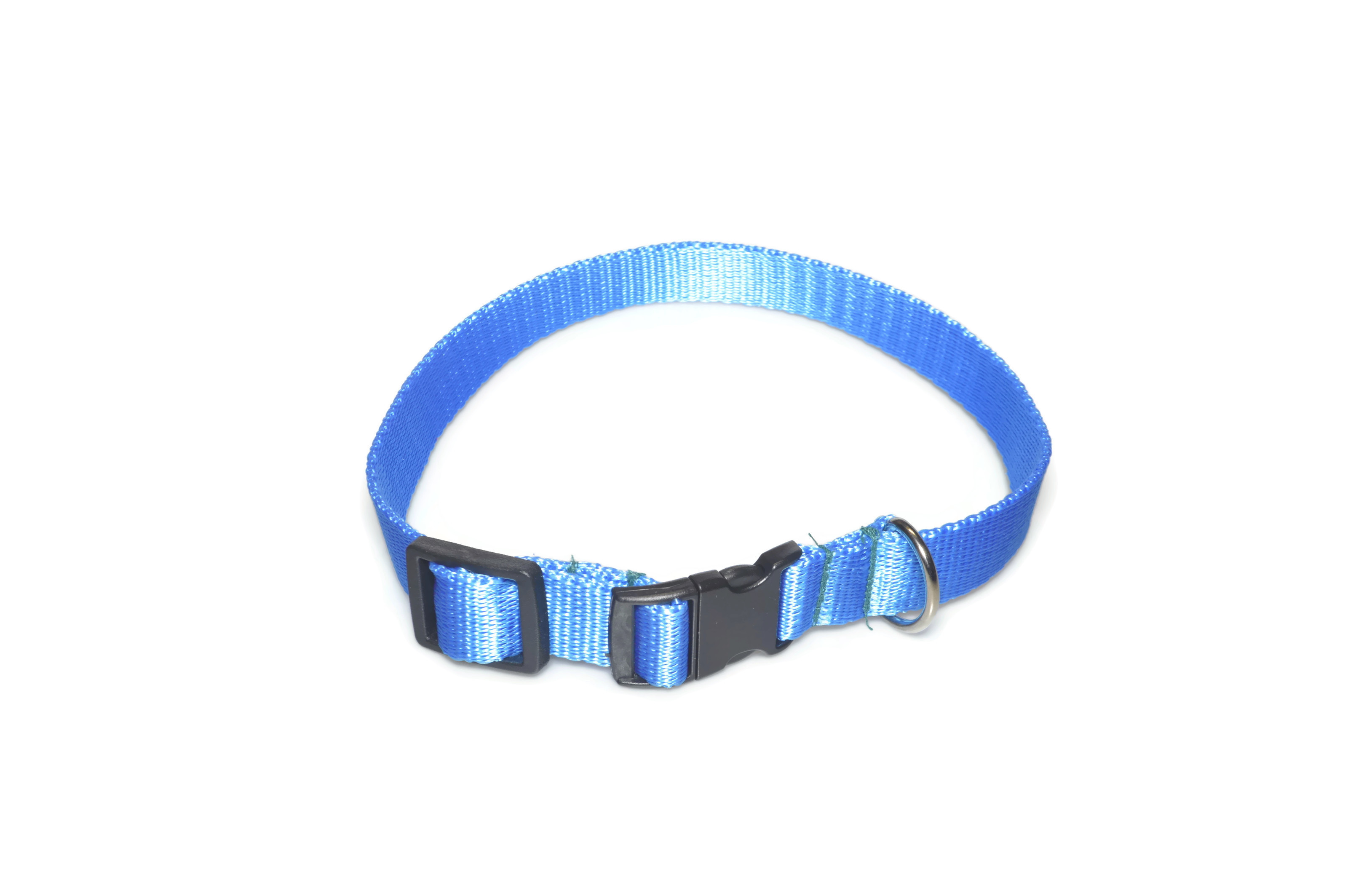 Obroża taśma 20mm/26-44cm
