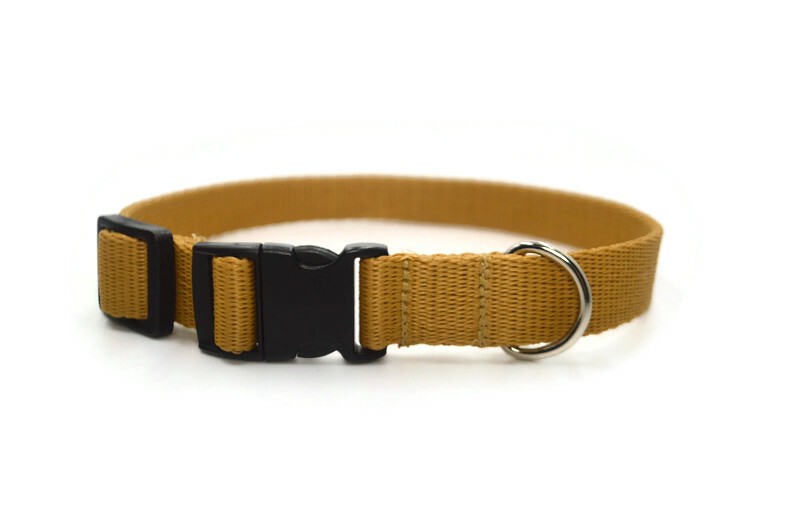 Obroża taśma 20mm/26-44cm
