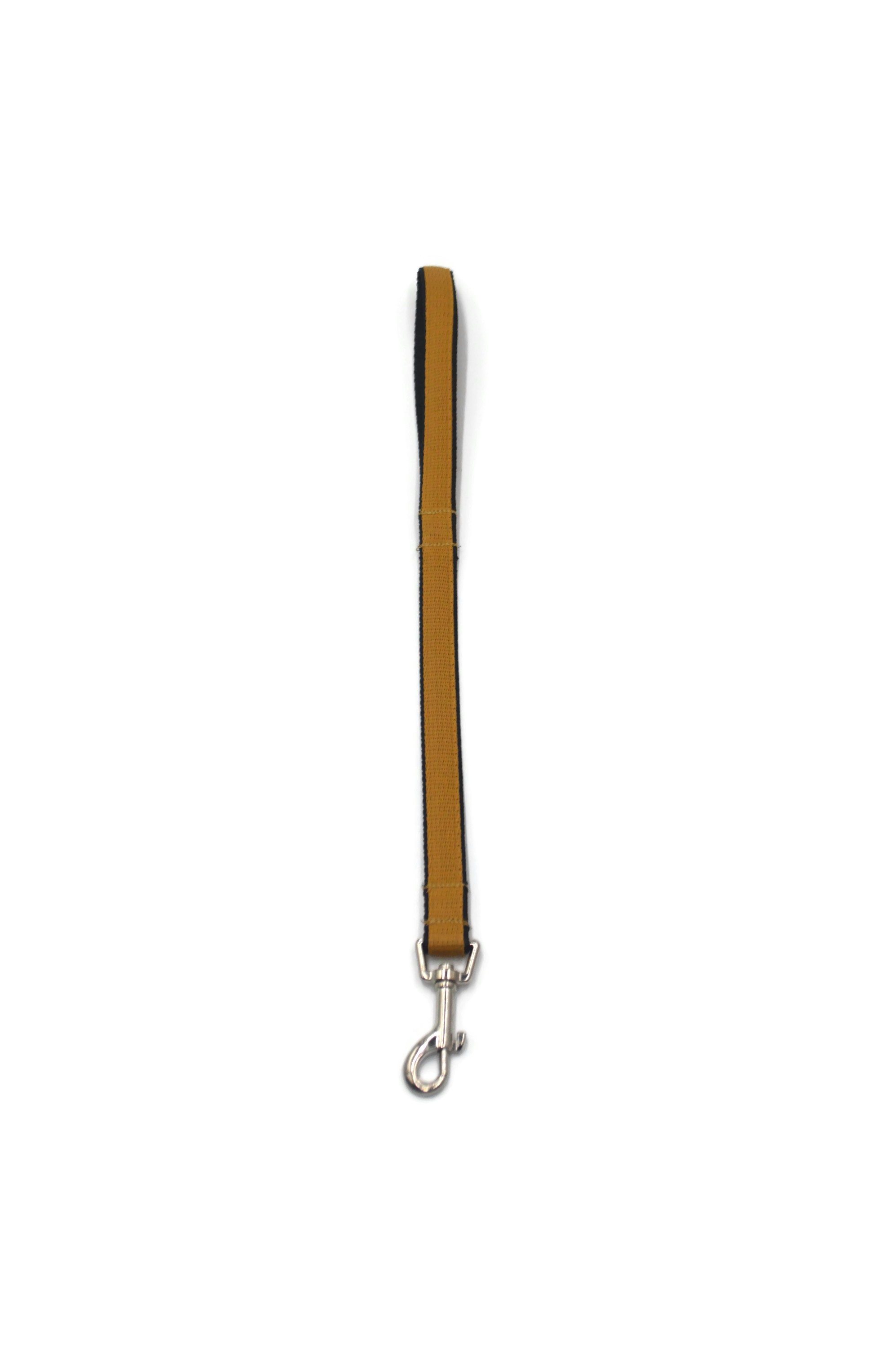 Pejcz dla psa, taśma podwójna 20mm/50cm