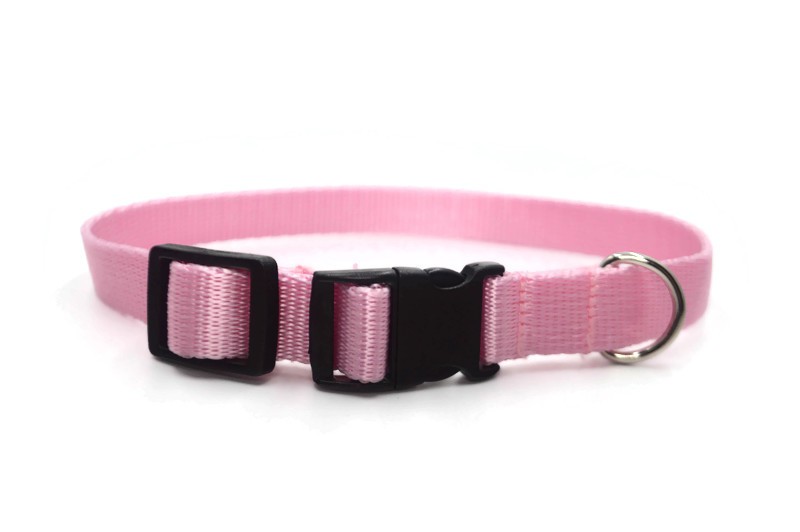 Obroża taśma 20mm/26-44cm