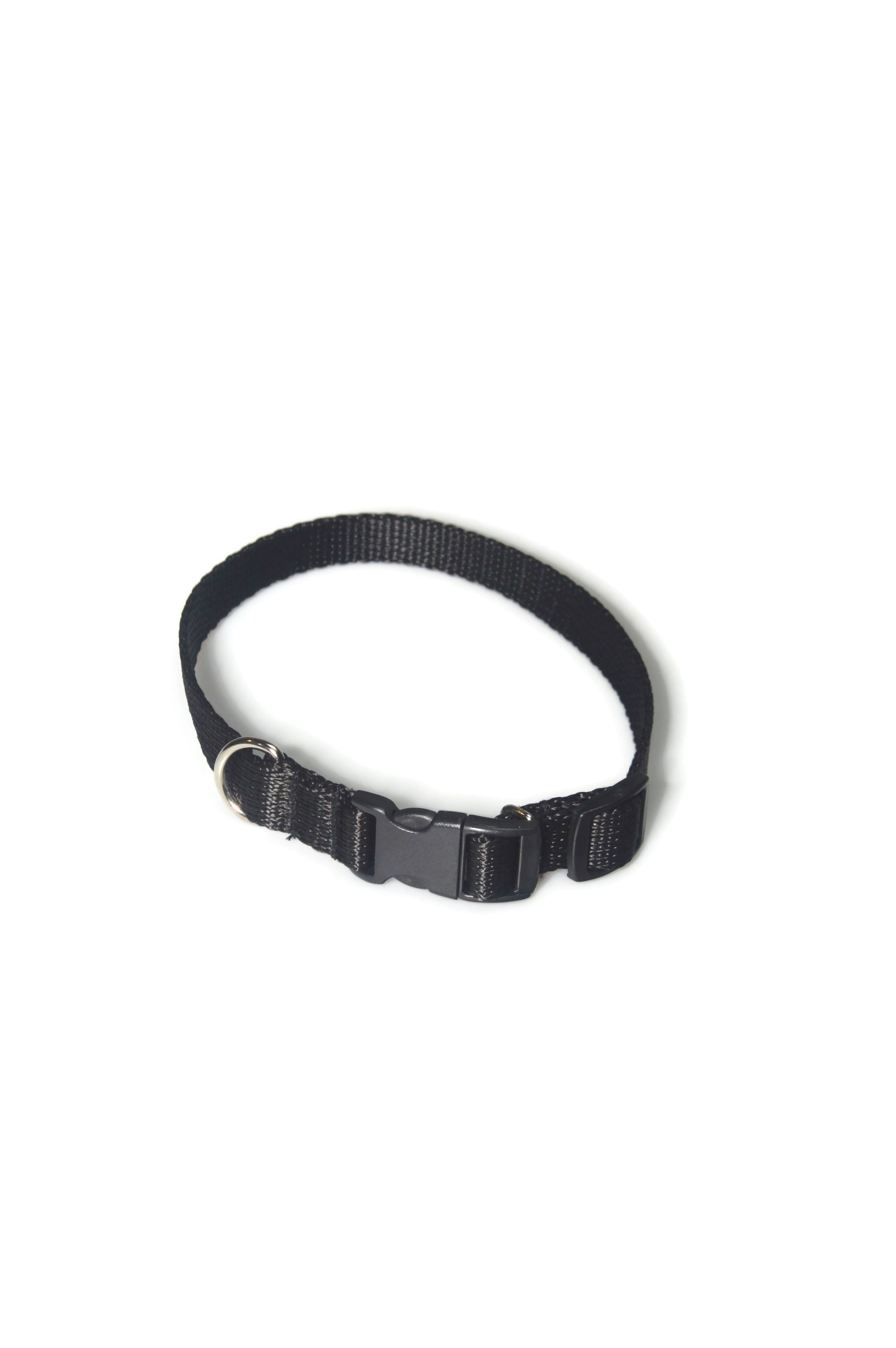 Obroża taśma 16mm/24-42cm
