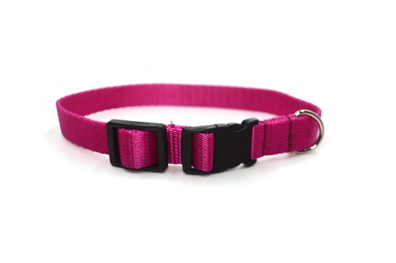 Obroża taśma 20mm/26-44cm