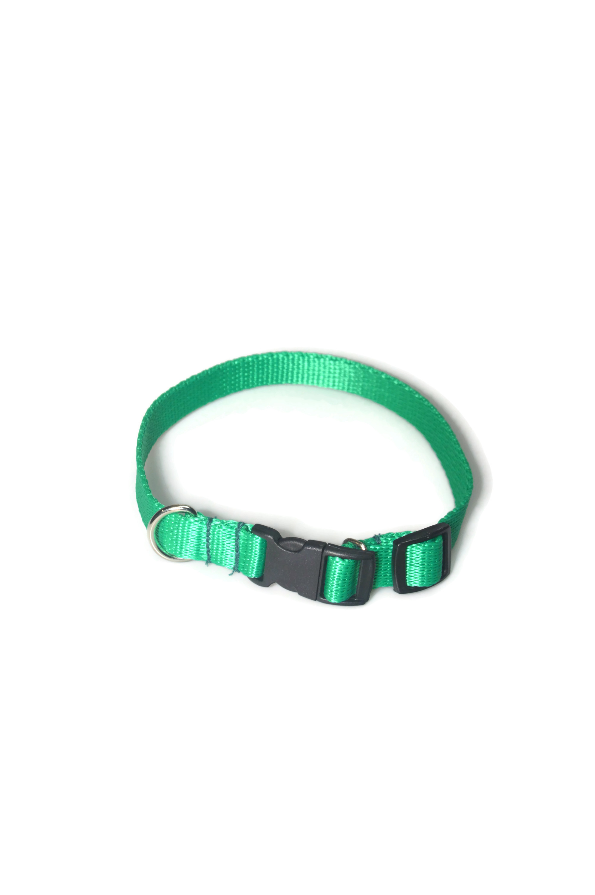 Obroża taśma 16mm/24-42cm