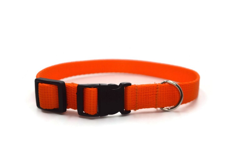 Obroża taśma 20mm/26-44cm