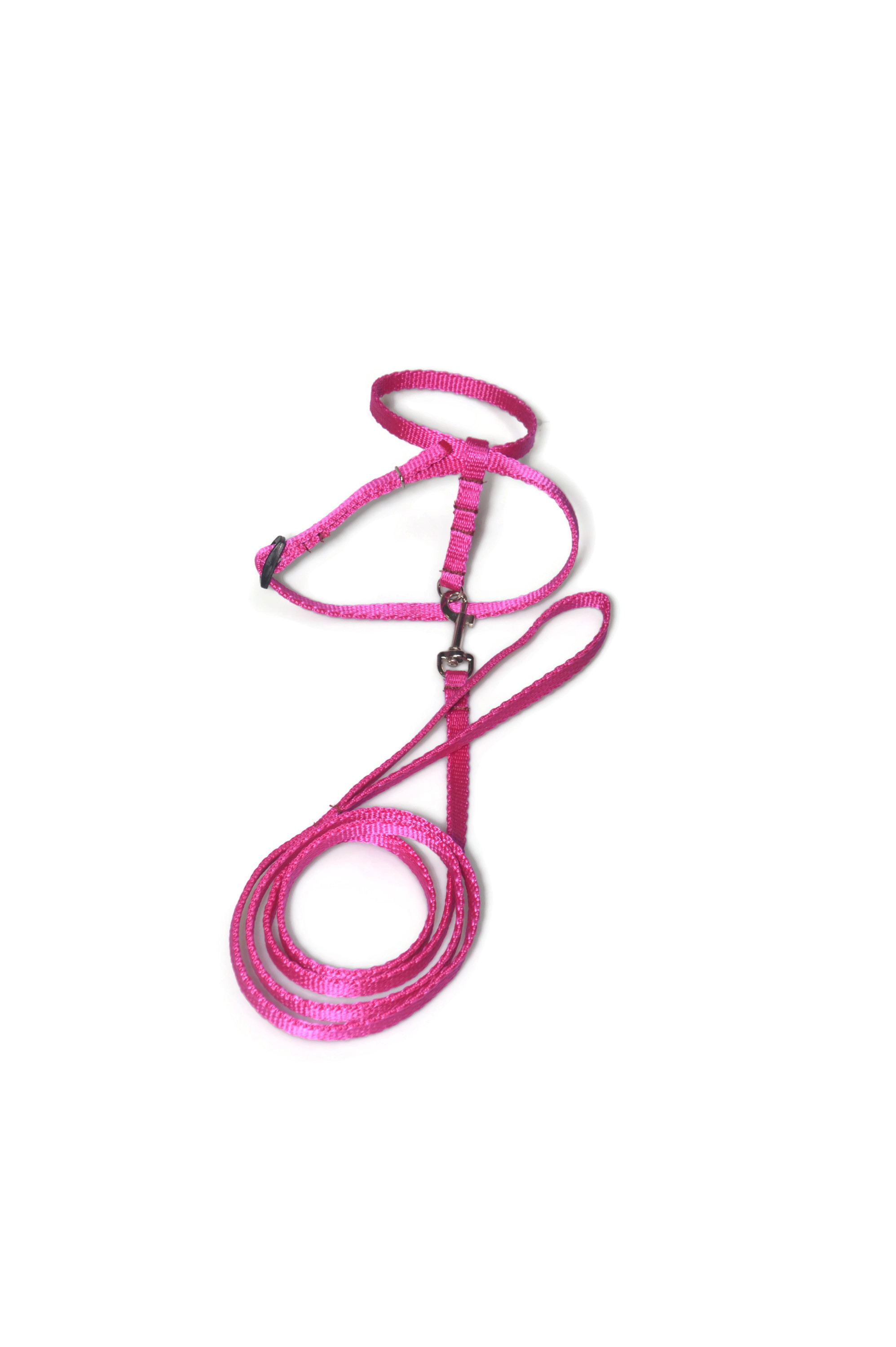 Komplet dla gryzoni