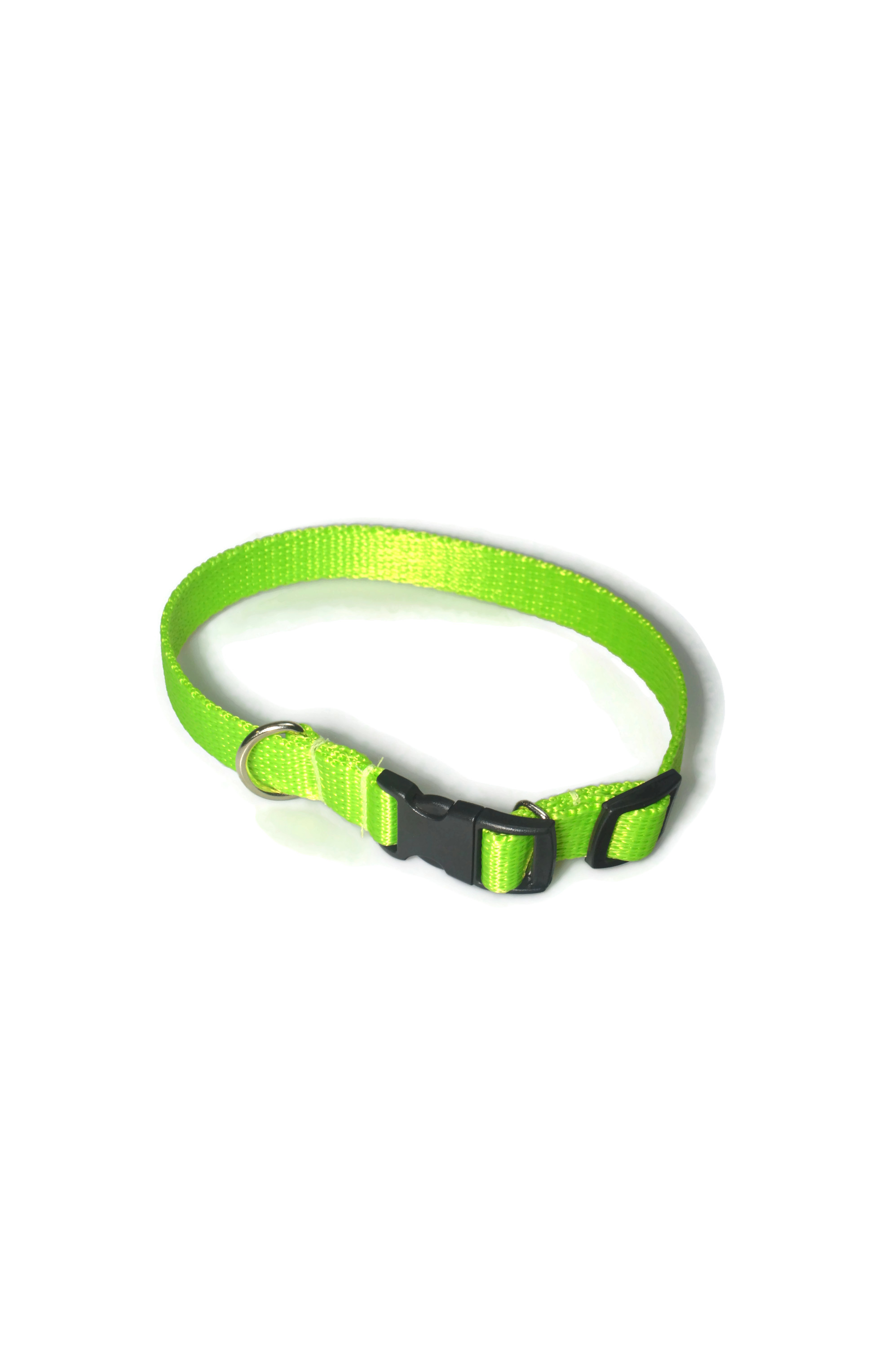 Obroża taśma 16mm/24-42cm