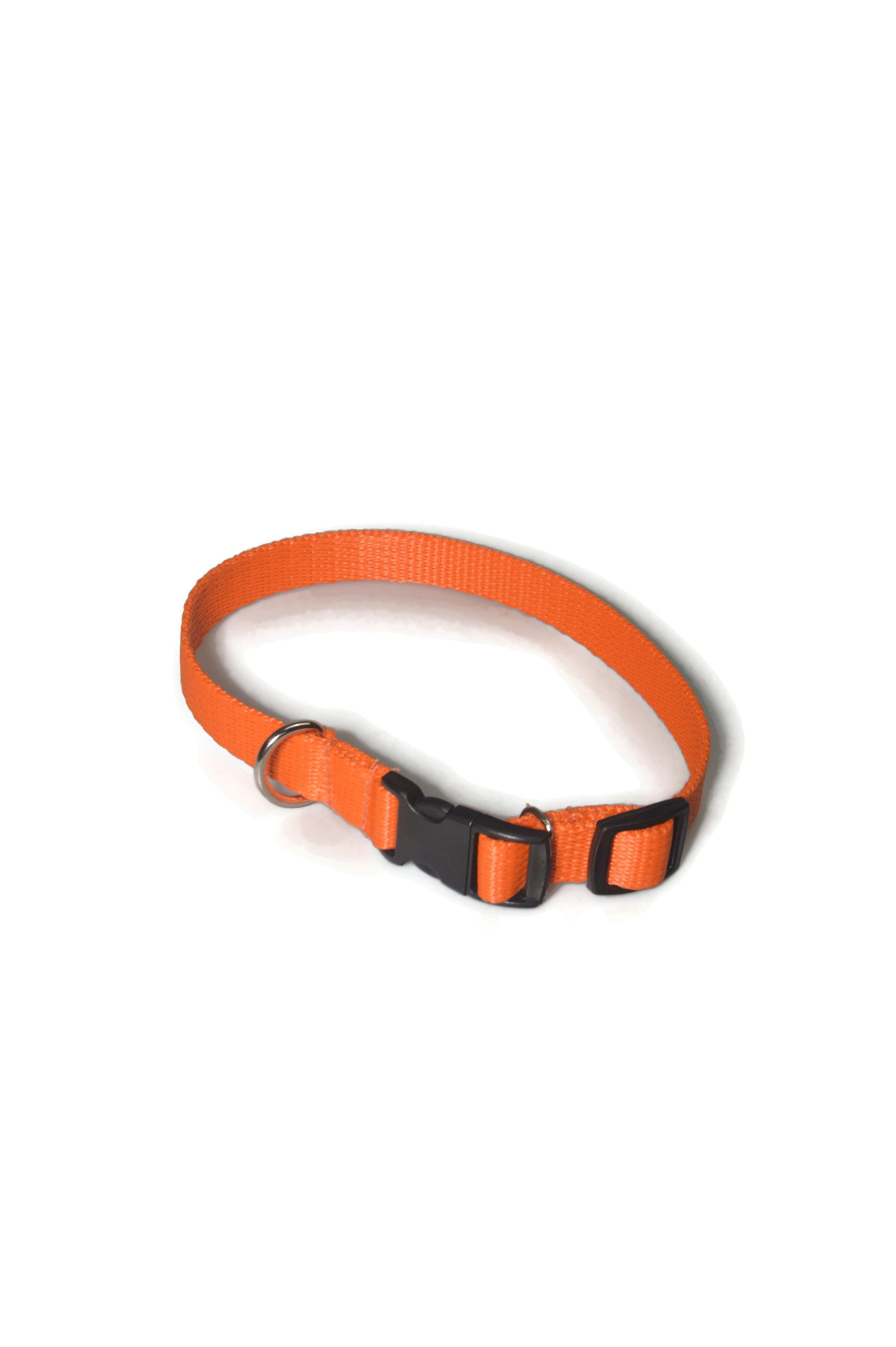 Obroża taśma 16mm/24-42cm