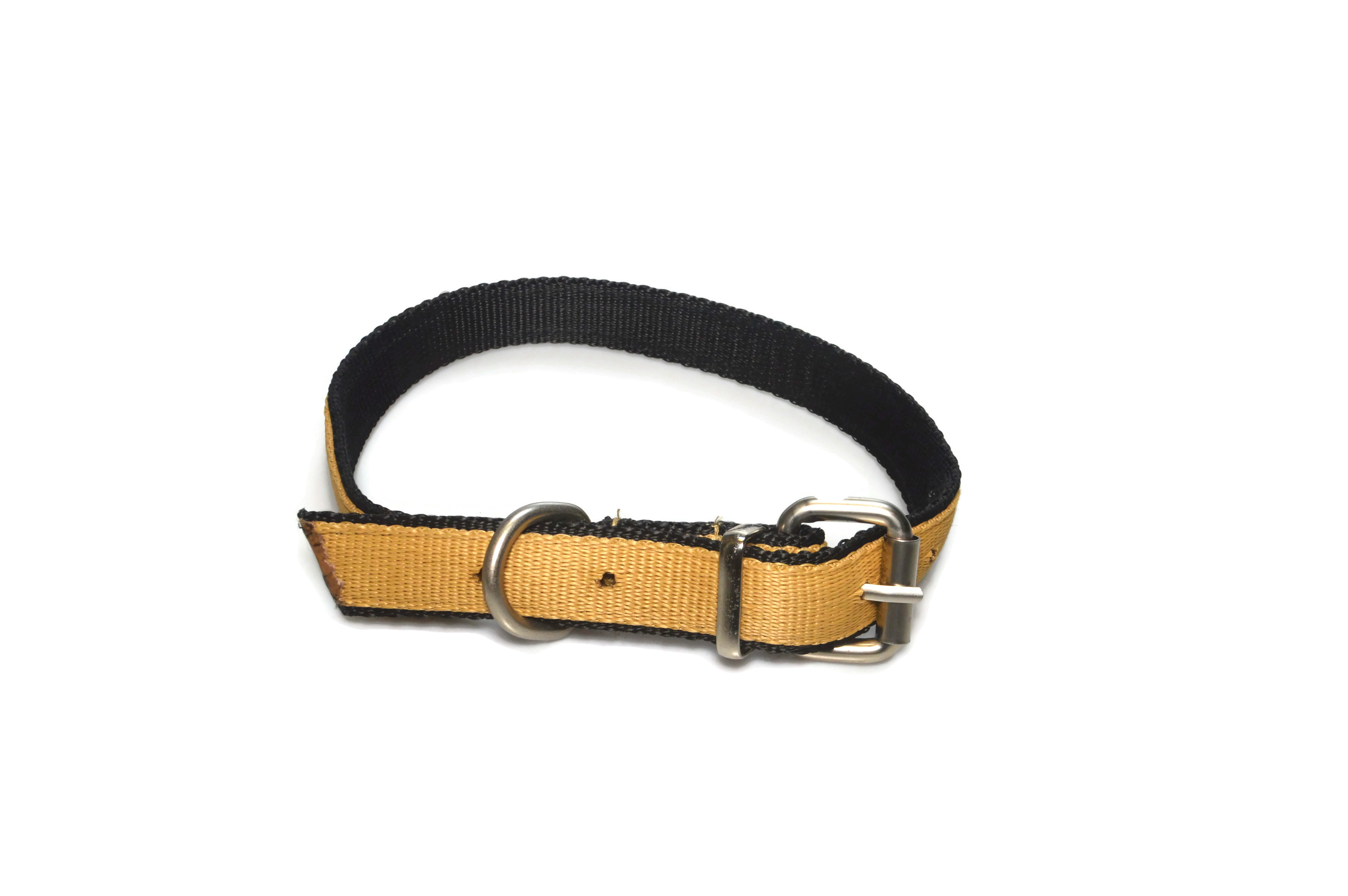 Obroża podwójna  25mm 42-57cm