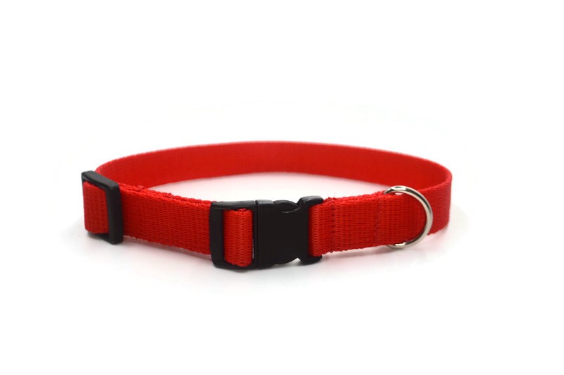 Obroża taśma 20mm/26-44cm