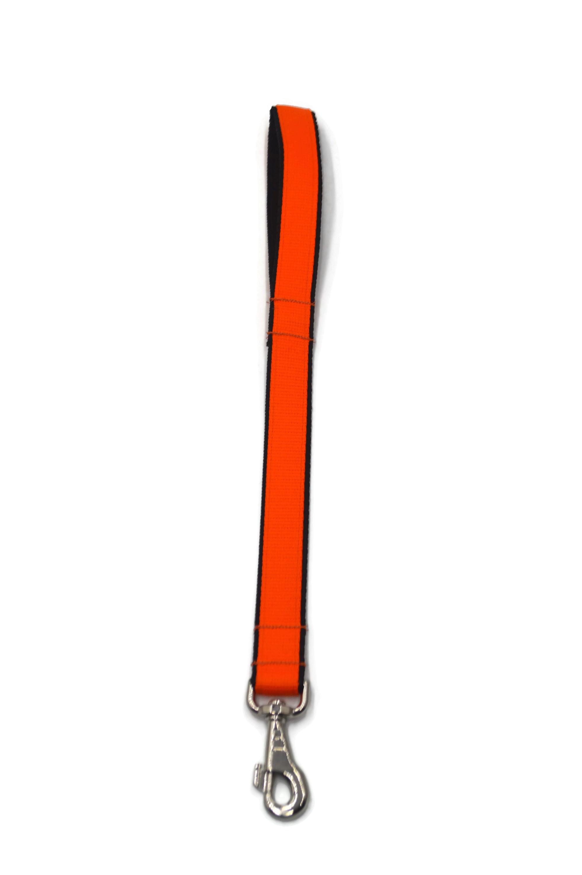Pejcz dla psa, taśma podwójna 30mm/50cm