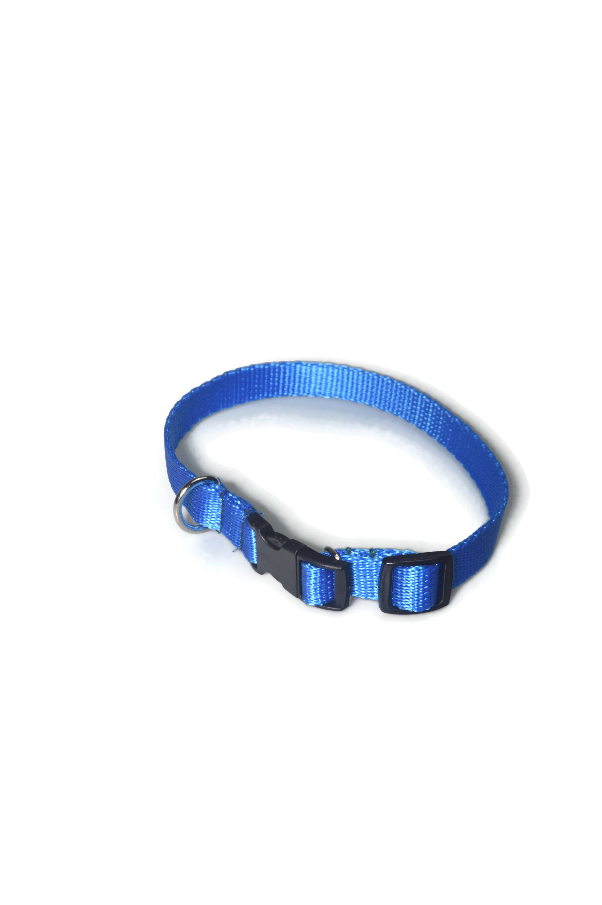 Obroża taśma 16mm/24-42cm